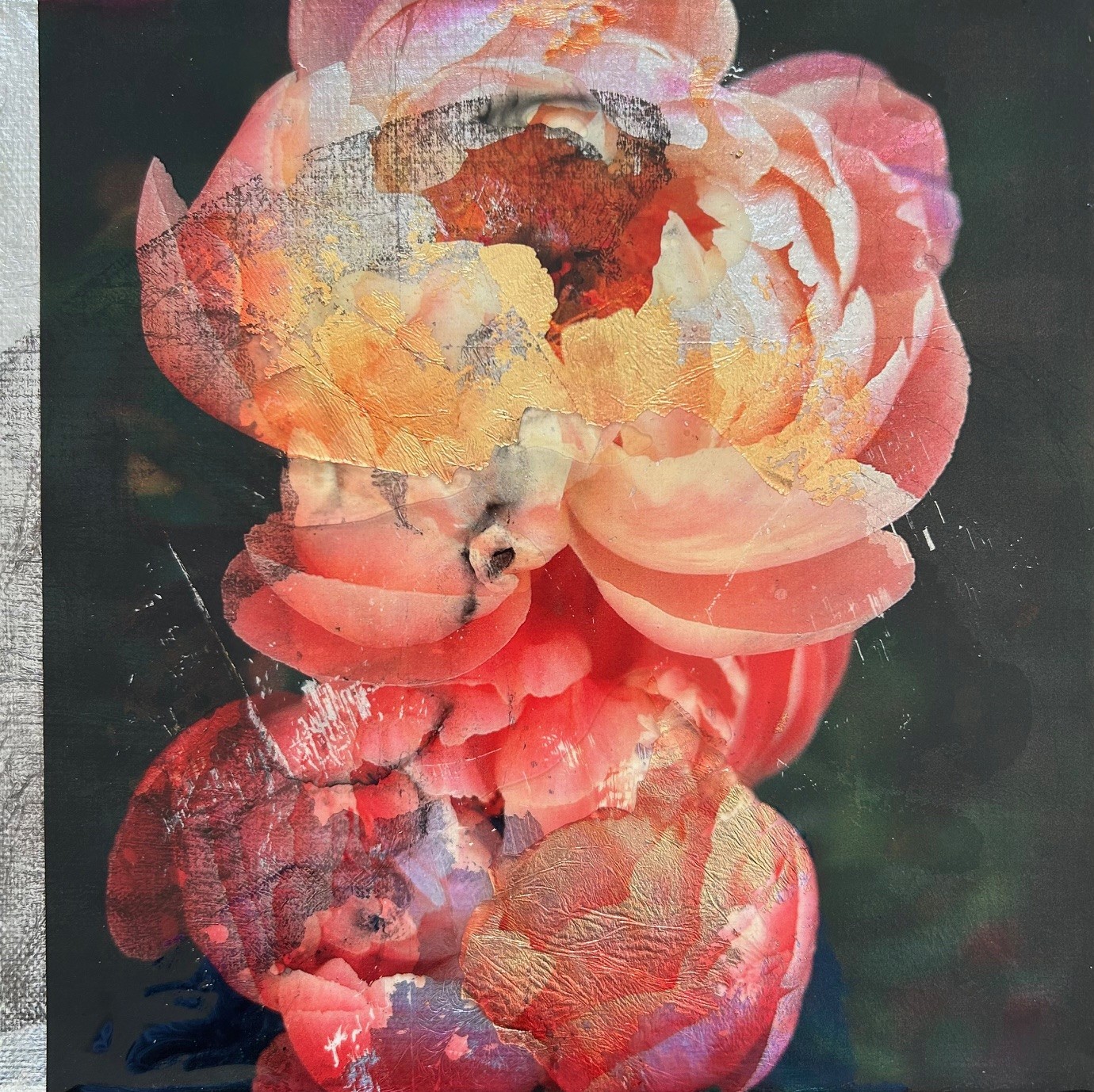 Kiran Chugani, Peonies Kiran Chugani, Peonies