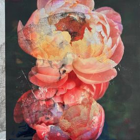 Painting, Peonies, Kiran Chugani