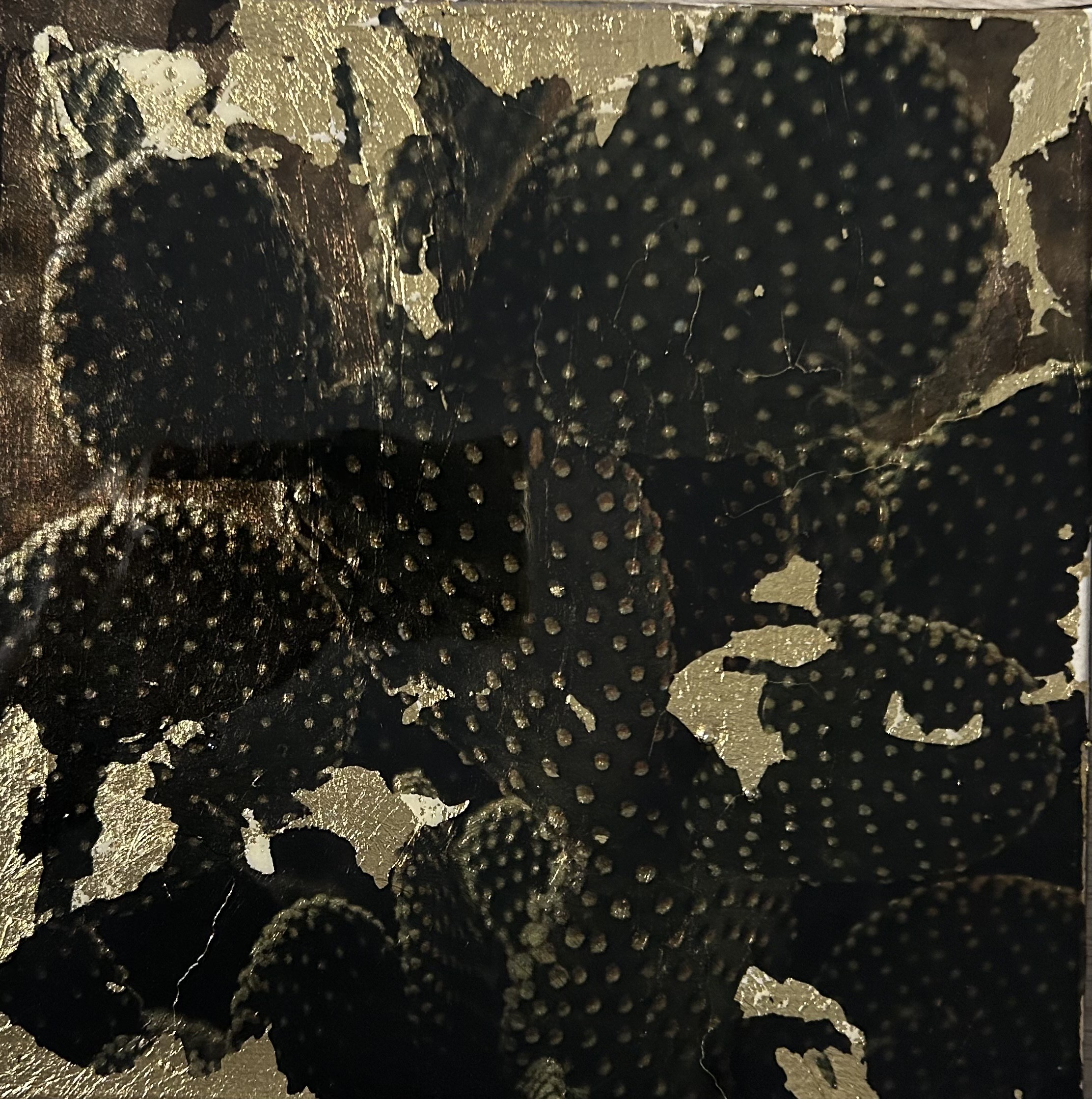 Kiran Chugani, Cactus Kiran Chugani, Cactus