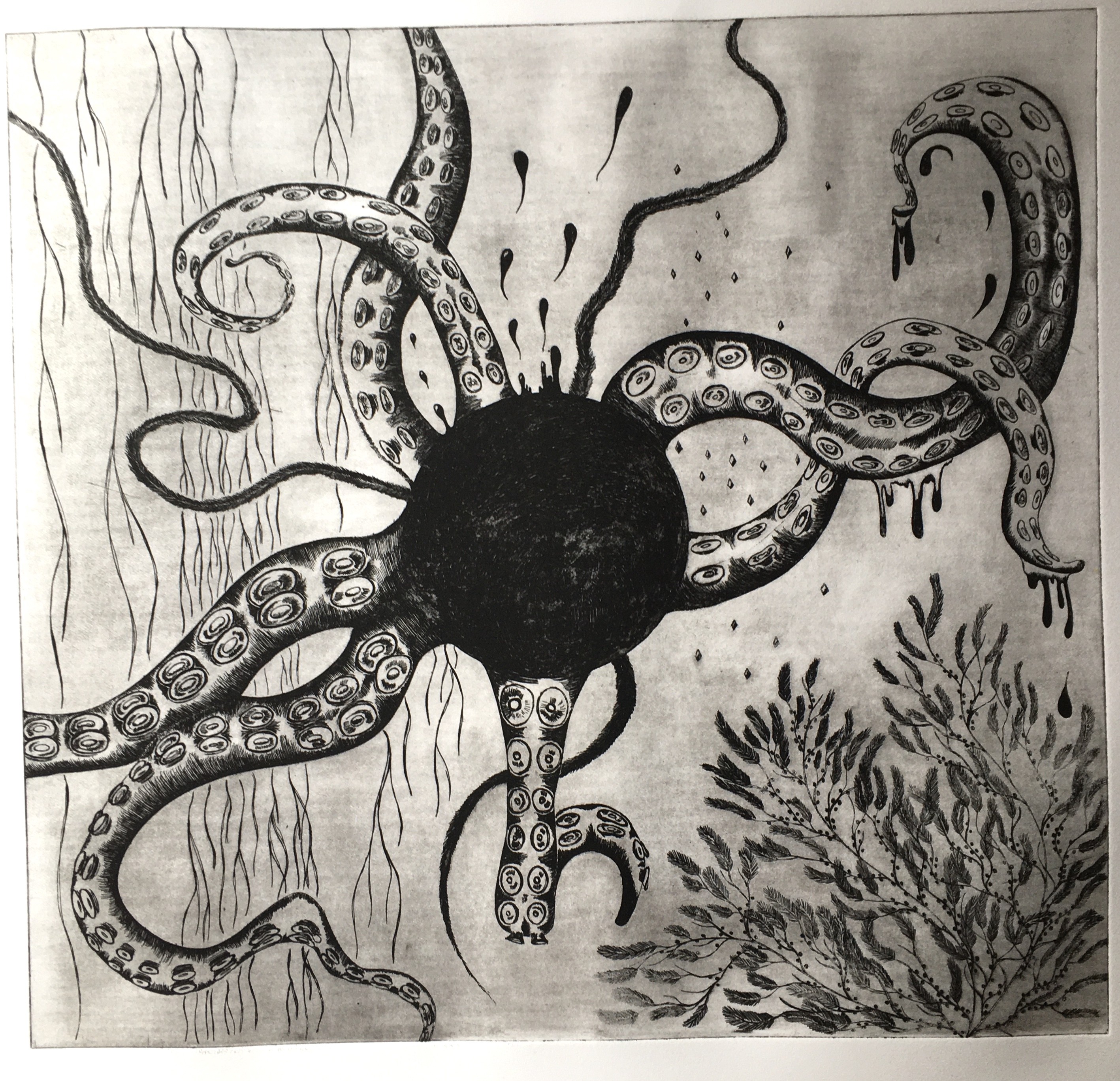 Julie Ruelle, Le poulpe - UnderWater Julie Ruelle, Le poulpe - UnderWater