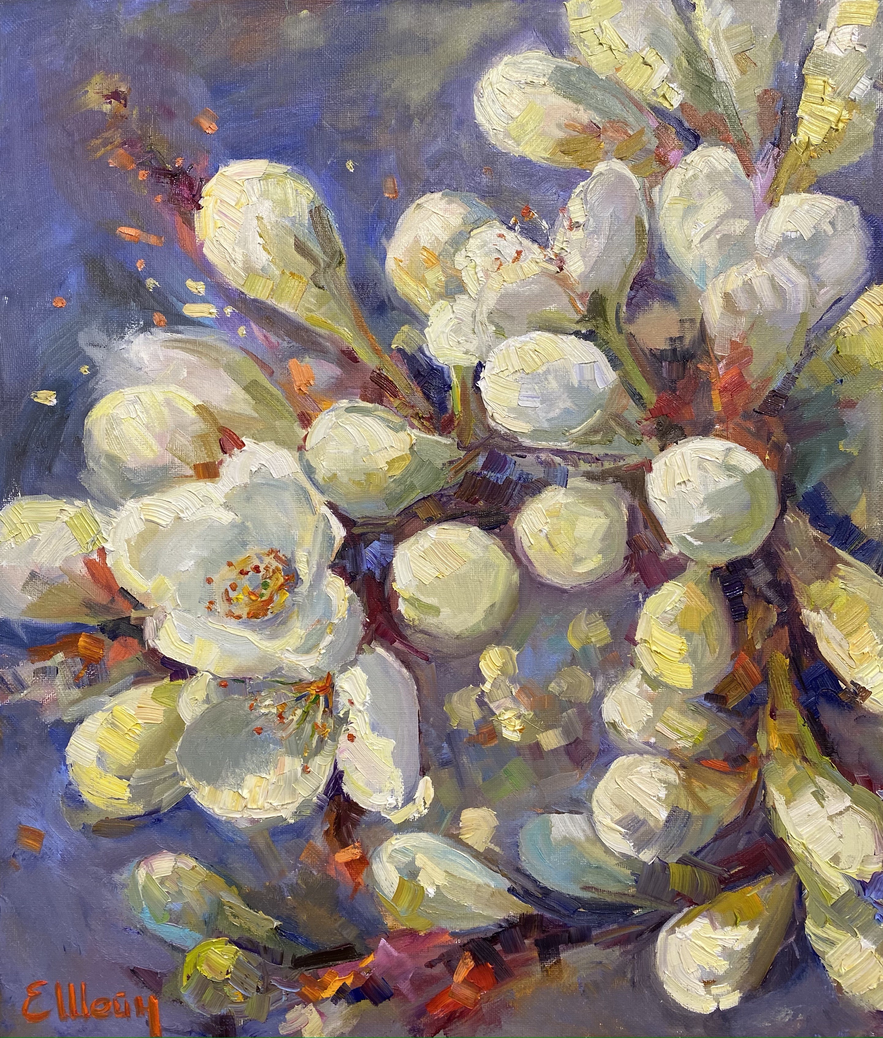 Genia Sheyn, Blooming spring Genia Sheyn, Blooming spring