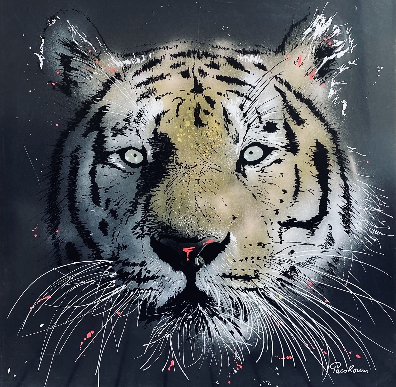 Paco Roum, King Tiger Paco Roum, King Tiger