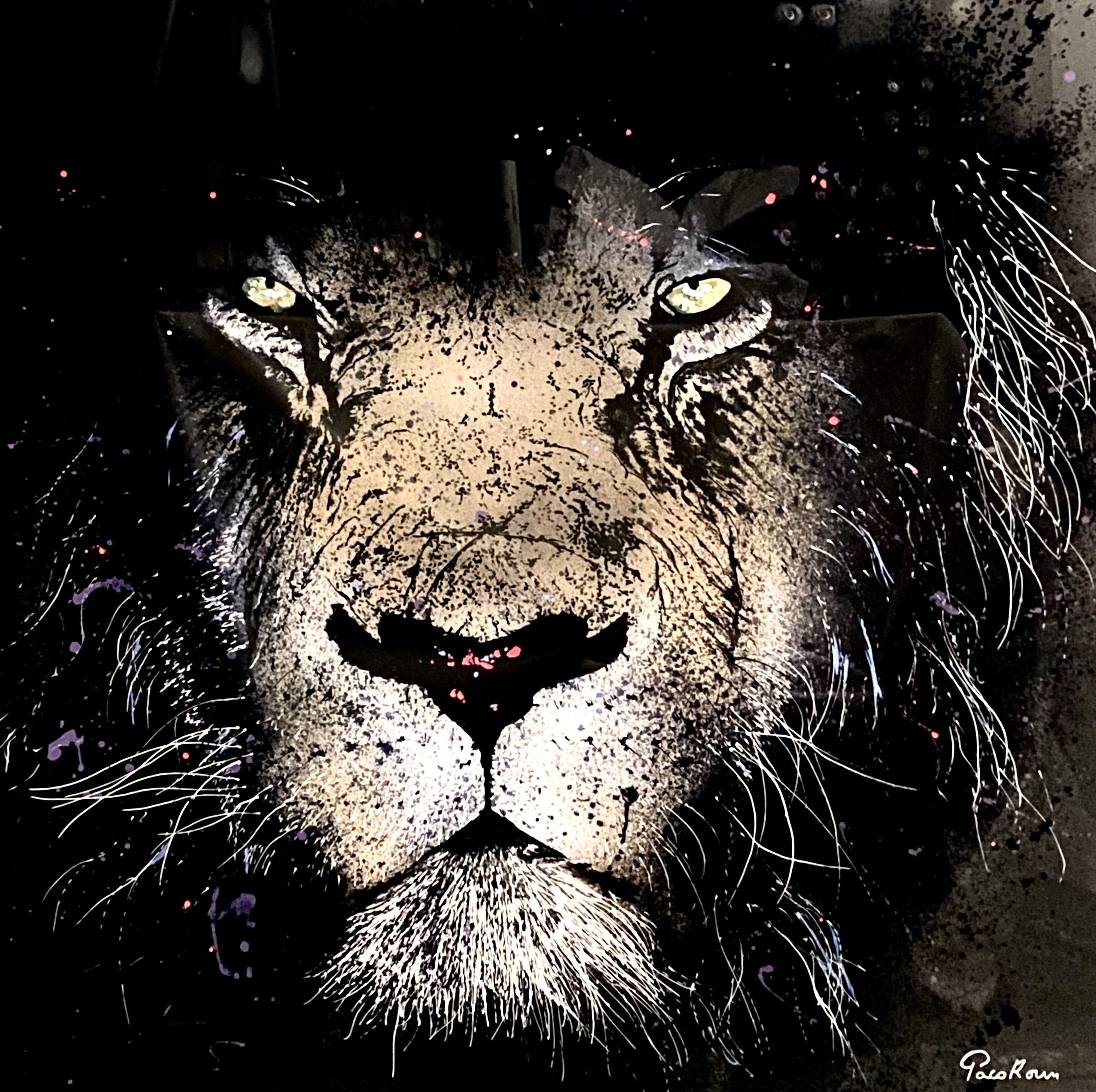 Paco Roum, King Lion Paco Roum, King Lion
