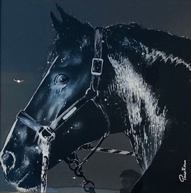 Paco Roum, Black Jump Paco Roum, Black Jump