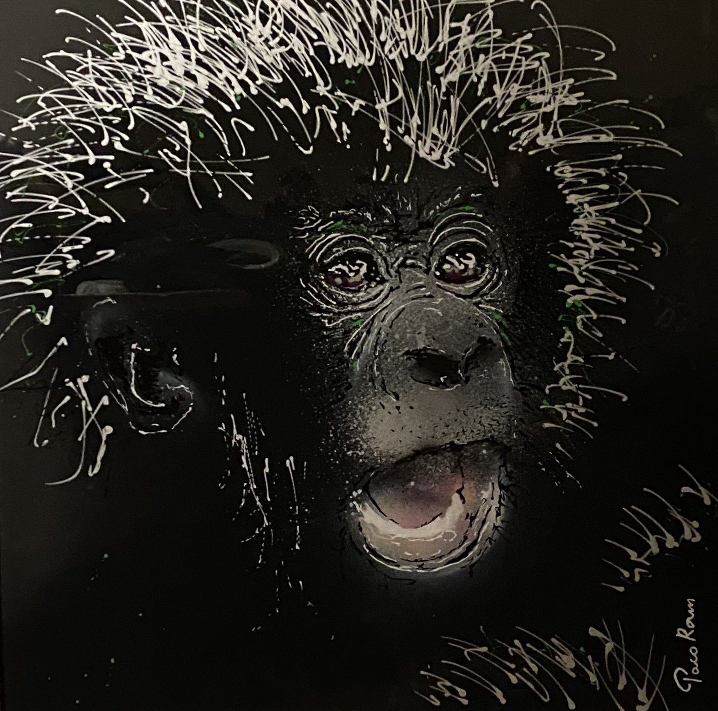 Paco Roum, Crazy Monkey Paco Roum, Crazy Monkey