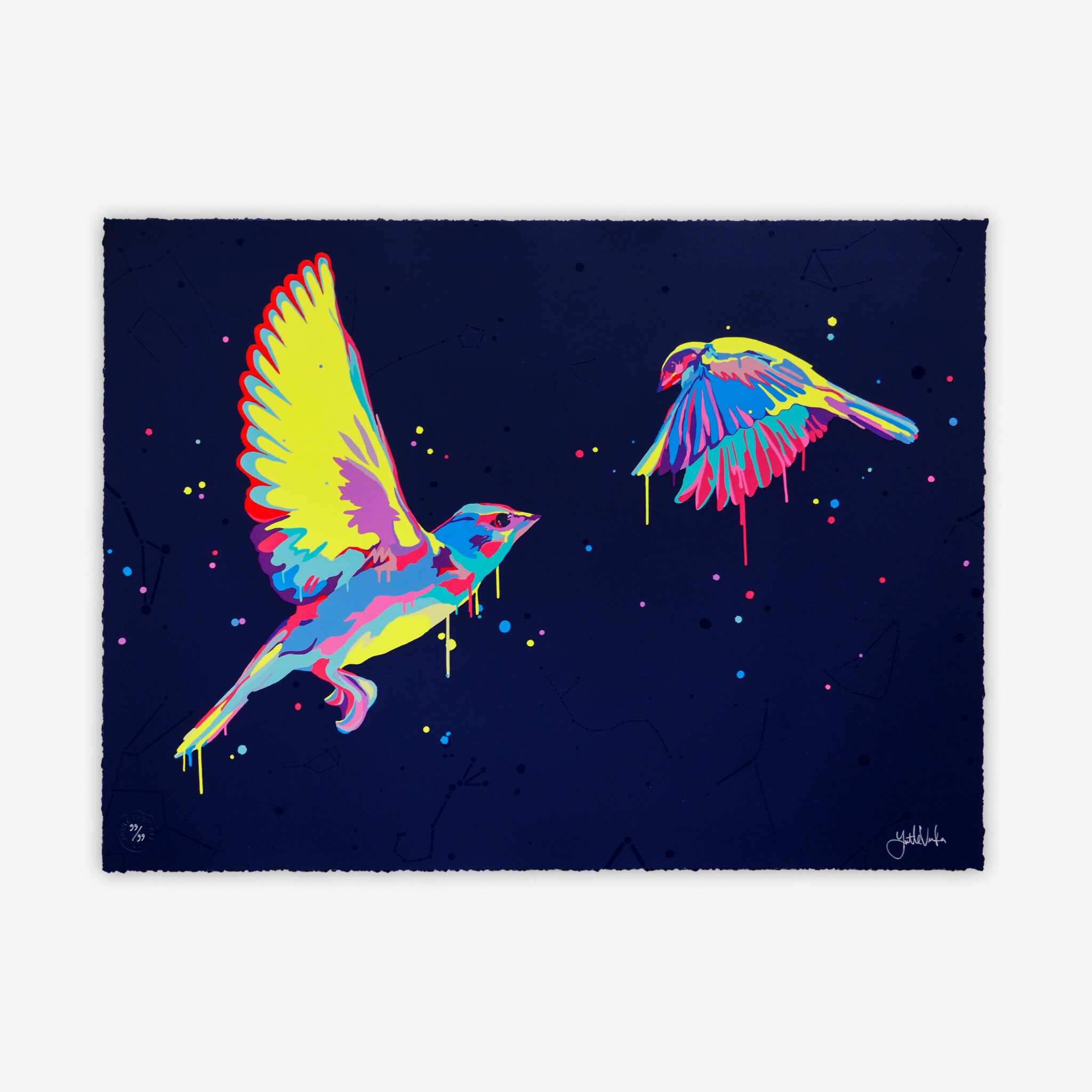 Yvette Vexta, Biolumin Birds Yvette Vexta, Biolumin Birds