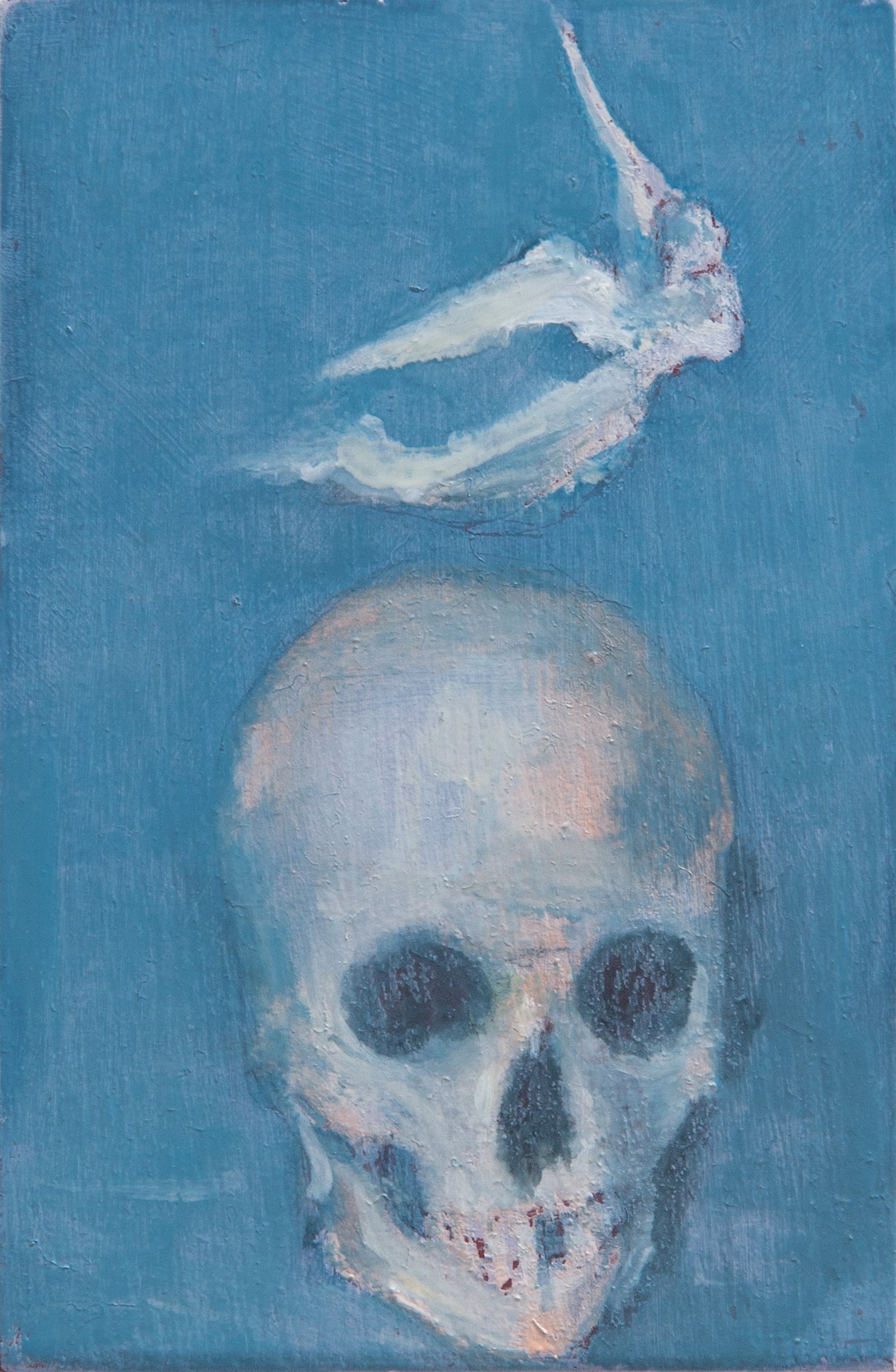 Miguel Branco, Untitled (Skull) Miguel Branco, Untitled (Skull)