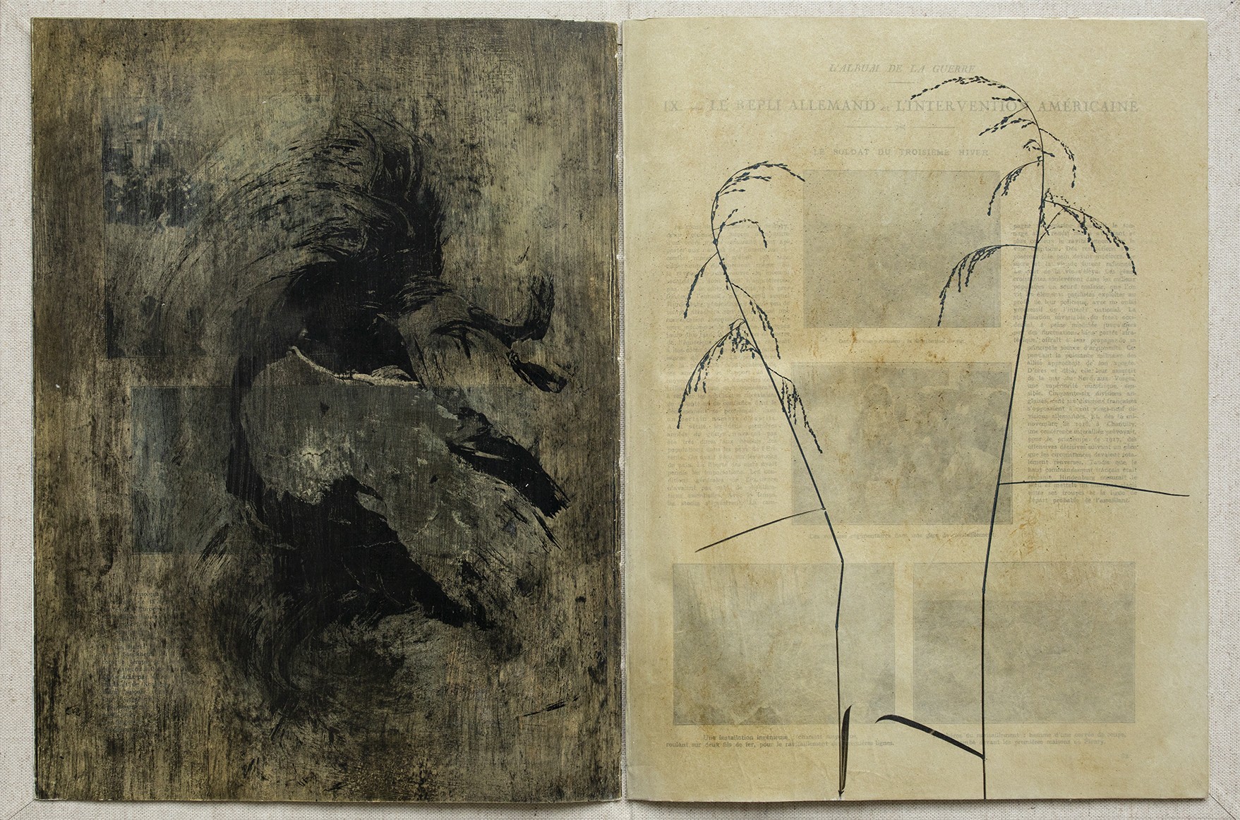 Sophie Zénon, Livre VII / Glyceria striata (Lam.) Hitchc. (Glycérie striée), 2022, in Herbarium Florum obsidionalium (2021-2023) Sophie Zénon, Livre VII / Glyceria striata (Lam.) Hitchc. (Glycérie striée), 2022, in Herbarium Florum obsidionalium (2021-2023)