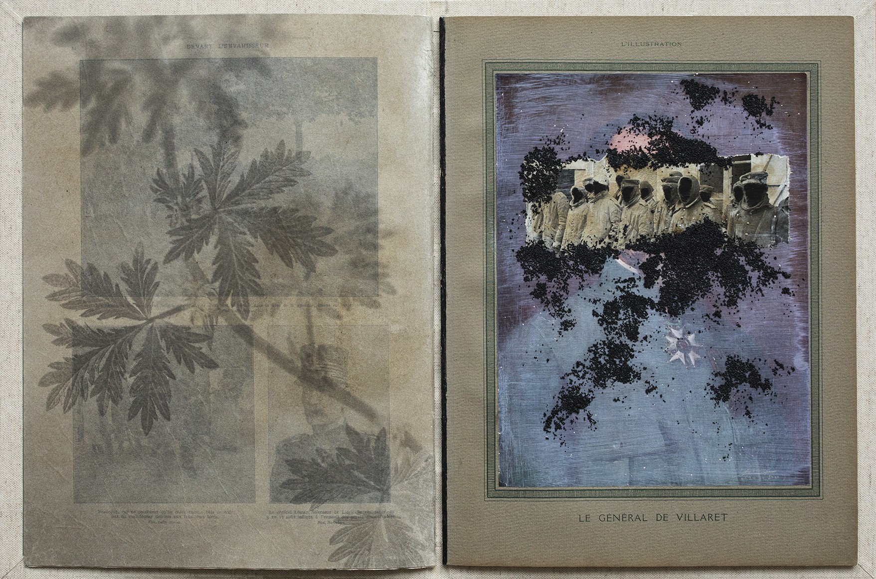 Sophie Zénon, Livre IX / Potentilla norvegica L. (Potentille de Norvège), 2021, in Herbarium Florum obsidionalium (2021-2023) Sophie Zénon, Livre IX / Potentilla norvegica L. (Potentille de Norvège), 2021, in Herbarium Florum obsidionalium (2021-2023)