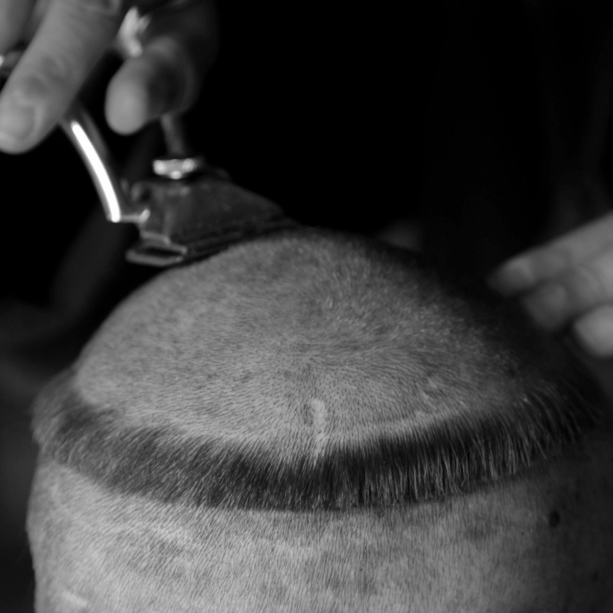 Jean-François Talivez, Tonsure, la cicatrice - série Une Vie de Moine Jean-François Talivez, Tonsure, la cicatrice - série Une Vie de Moine