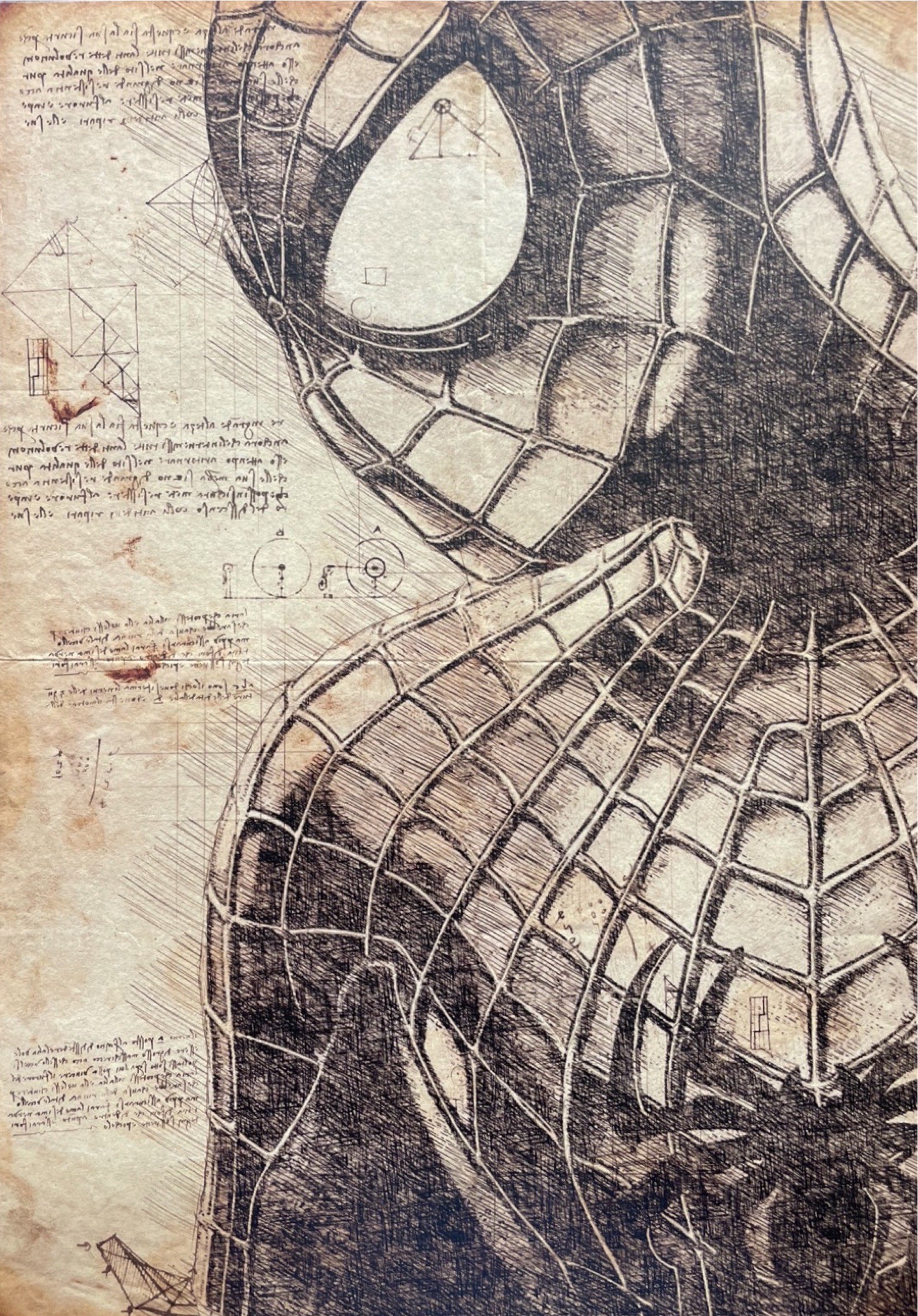 Andrea Boriani, Spiderman - Da Vinci Series Andrea Boriani, Spiderman - Da Vinci Series