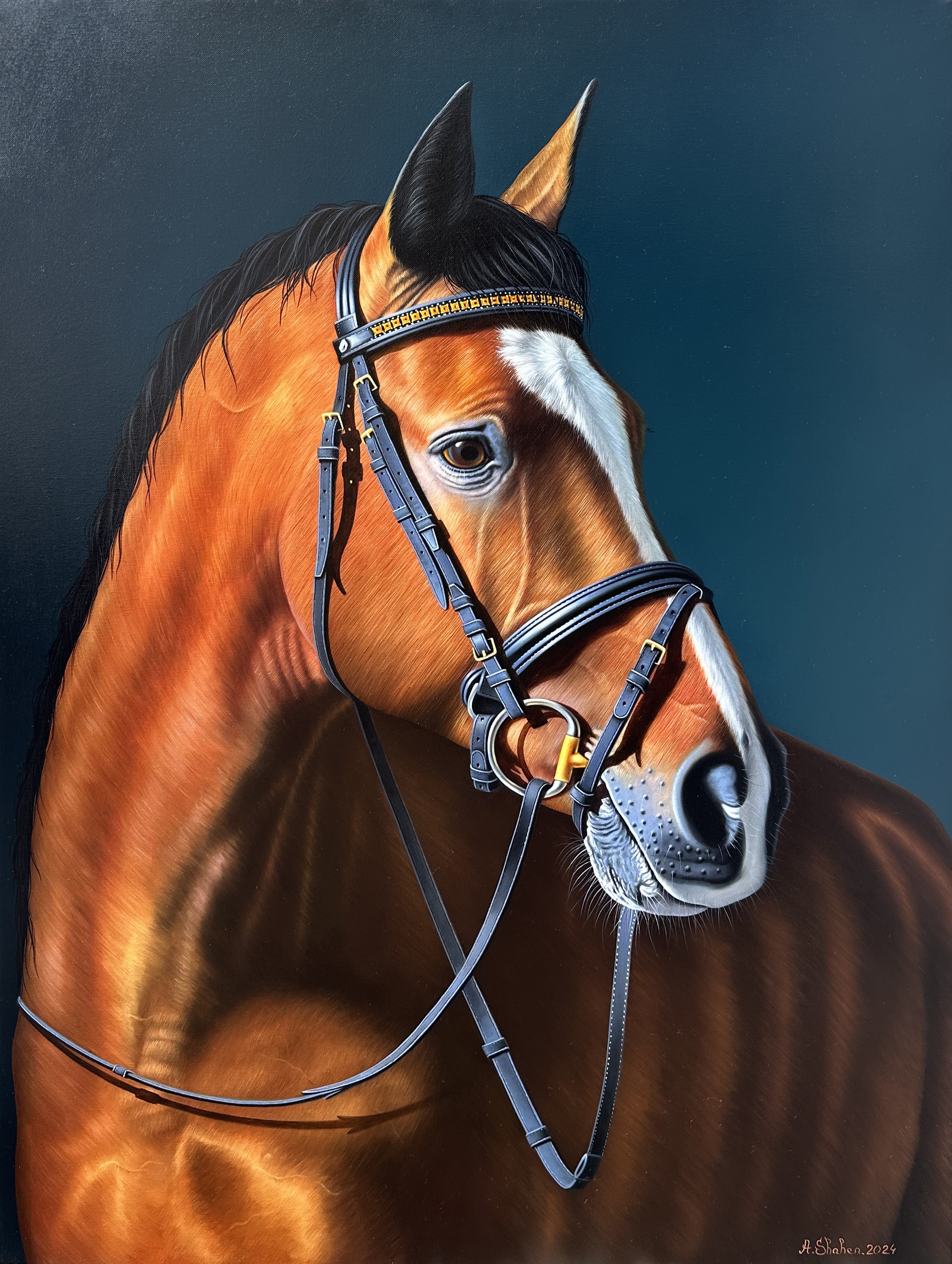 Shahen Aleksandryan, Gentle Gaze Shahen Aleksandryan, Gentle Gaze
