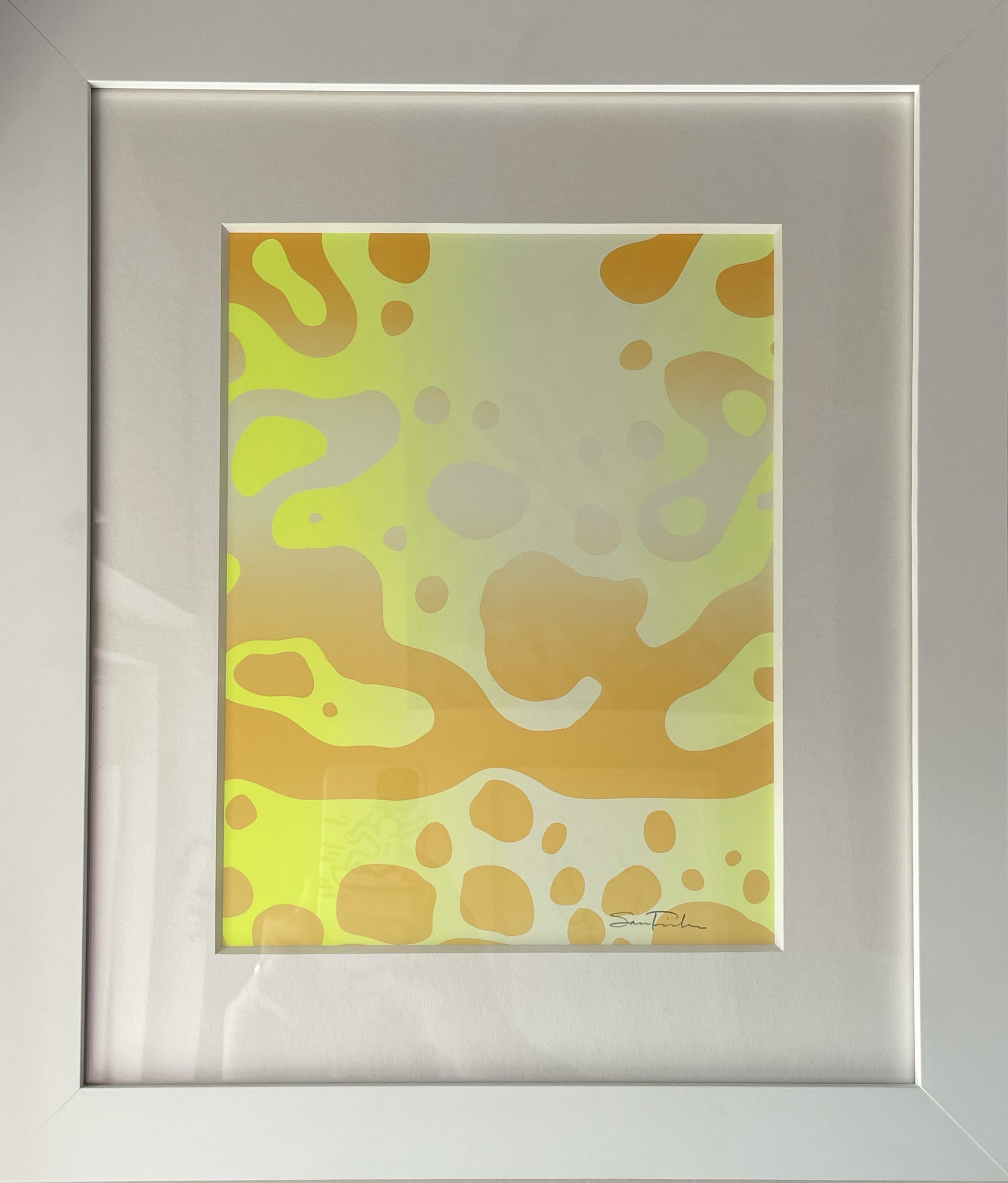Sam Friedman, Monoprint Sam Friedman, Monoprint