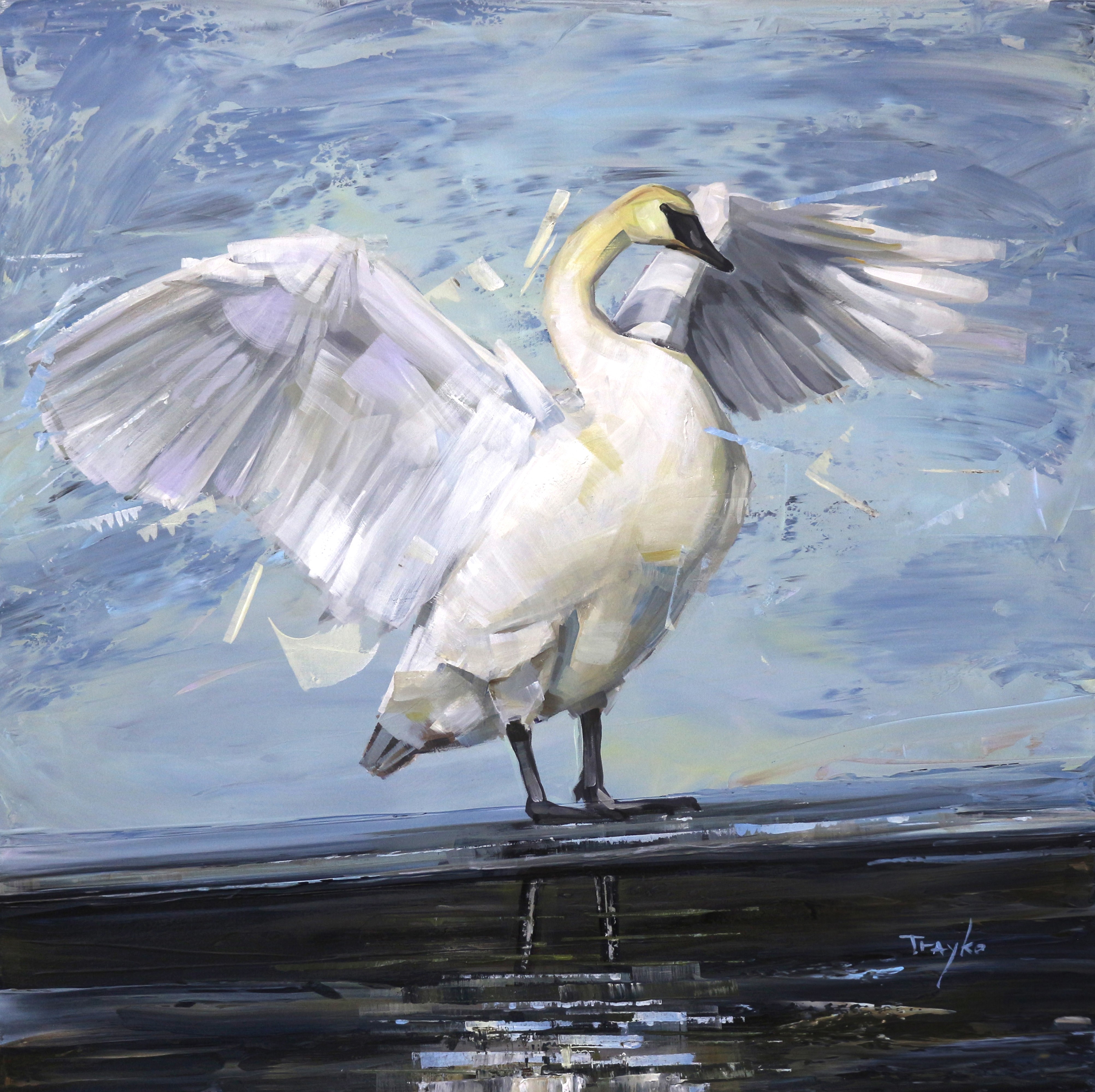 Trayko Popov, I Am Beautiful - Swan - Lake Trayko Popov, I Am Beautiful - Swan - Lake