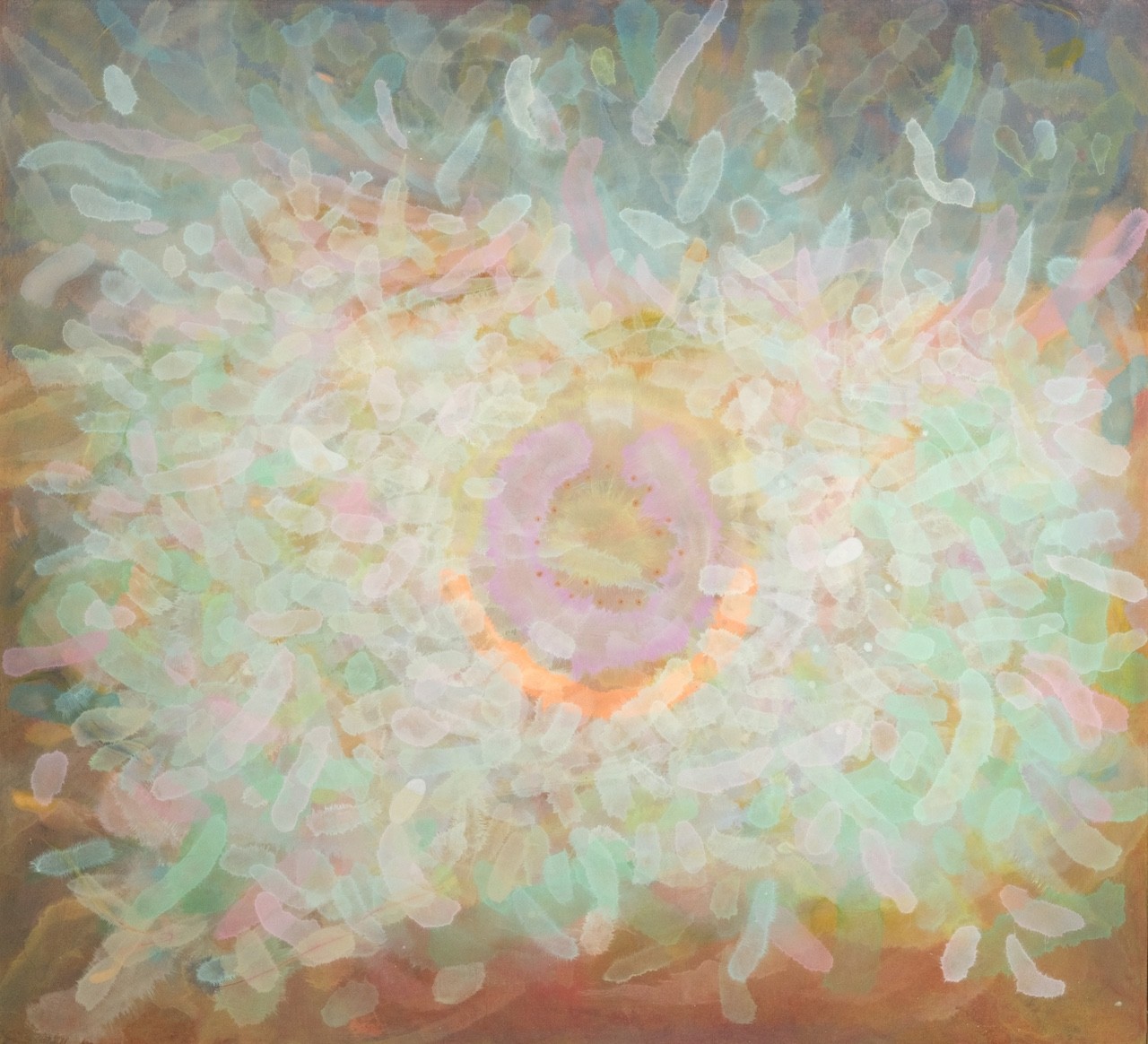 Giorgi Kavelashvili, Expand Giorgi Kavelashvili, Expand