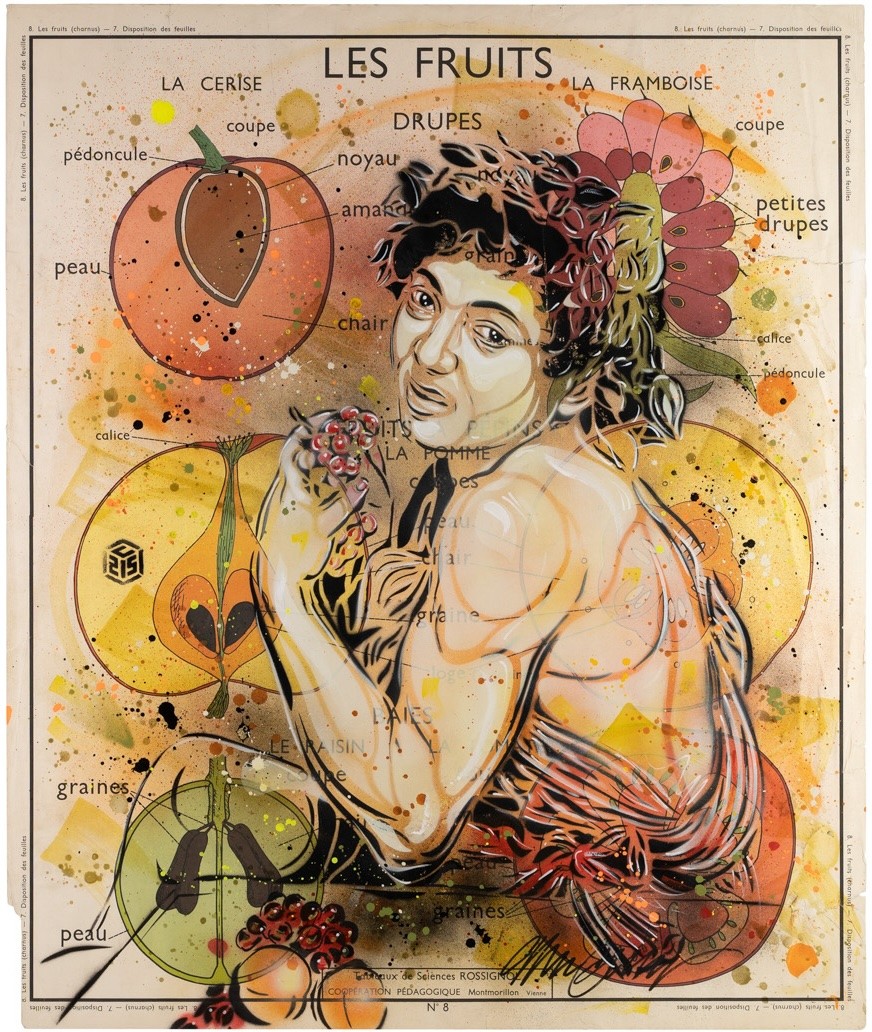 C215, Bacchus C215, Bacchus