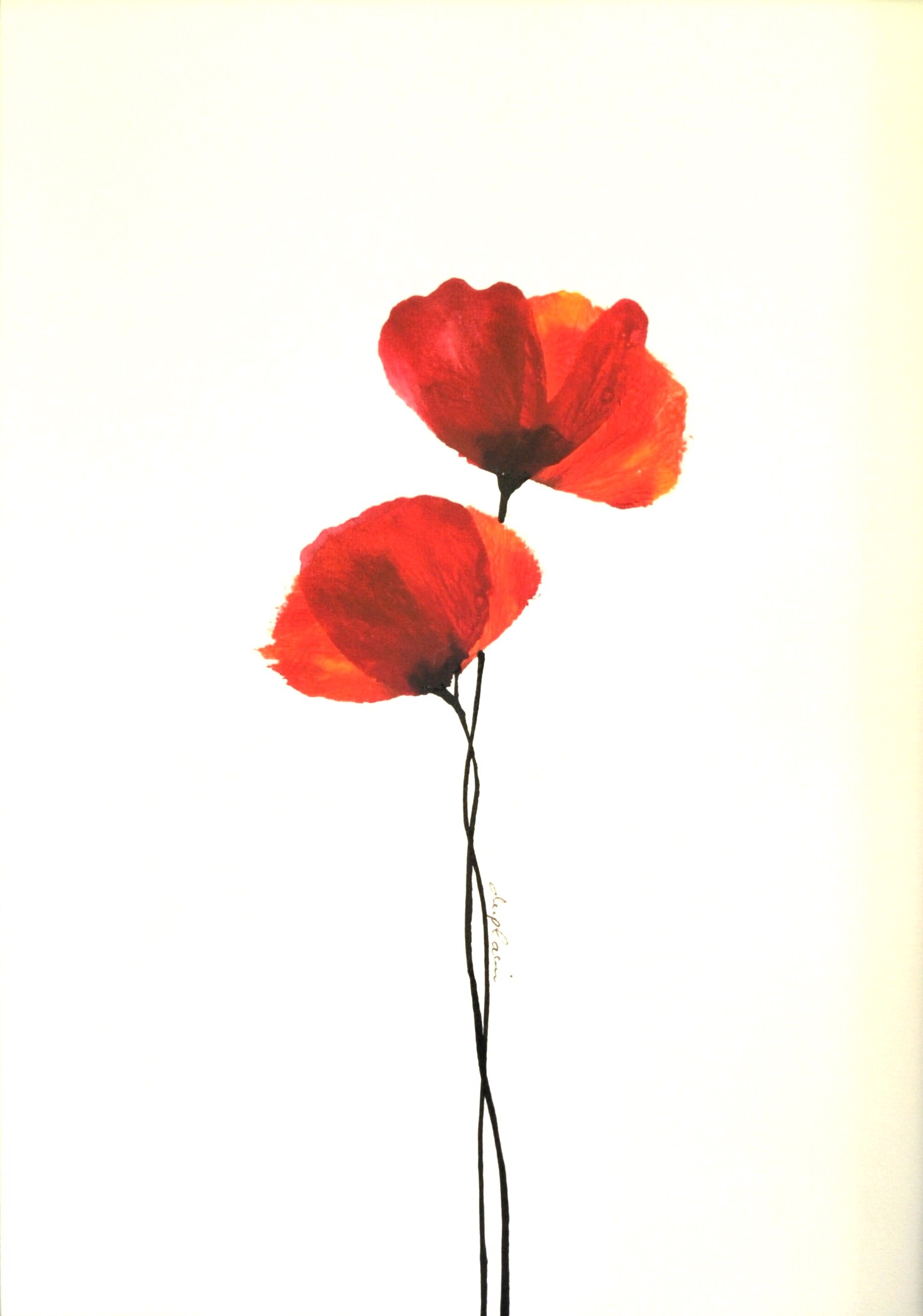 Sophie Duplain, Fleurs Rouges 2 Sophie Duplain, Fleurs Rouges 2