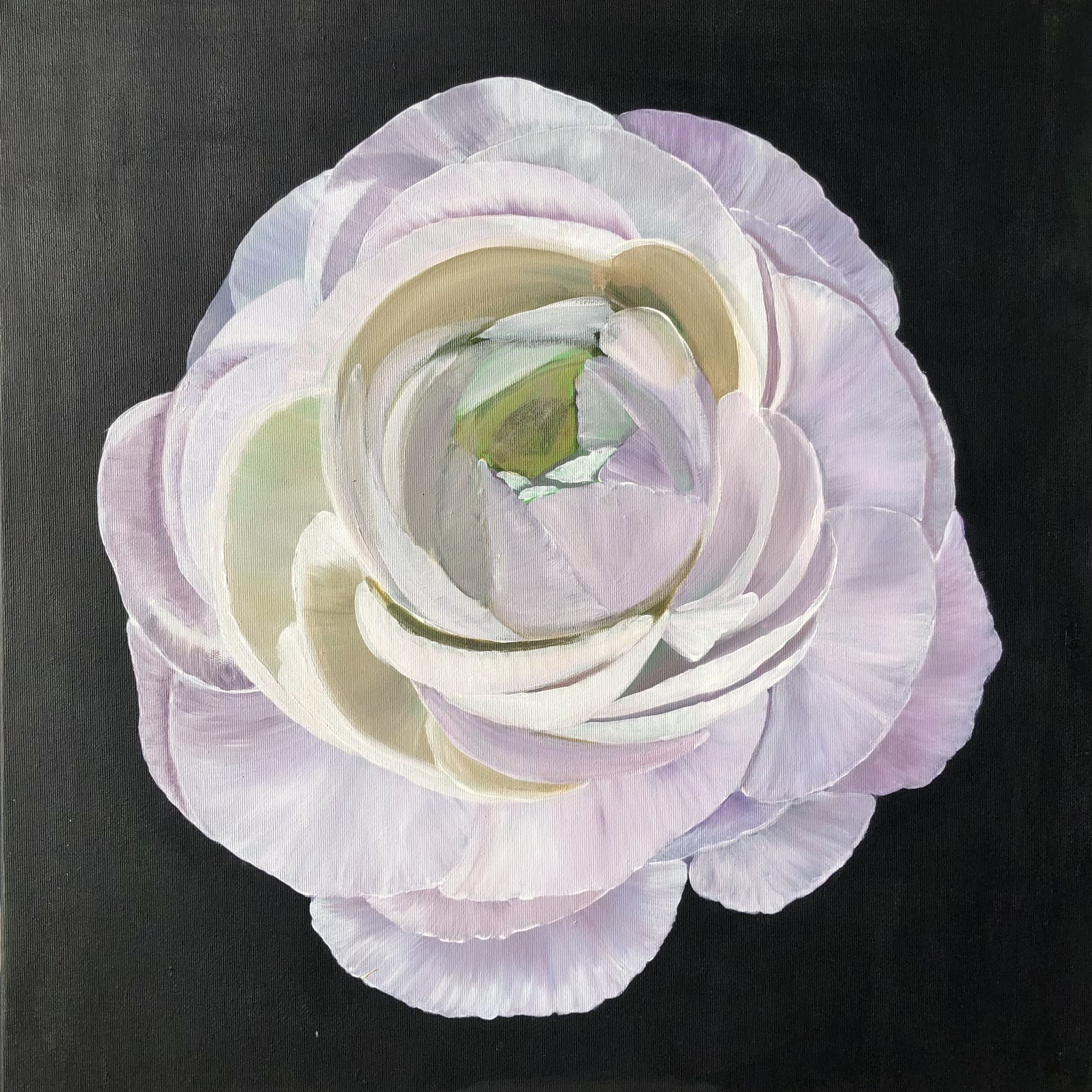 Nataliia Krykun, Peony flower - Ranunculus, Spring garden Nataliia Krykun, Peony flower - Ranunculus, Spring garden