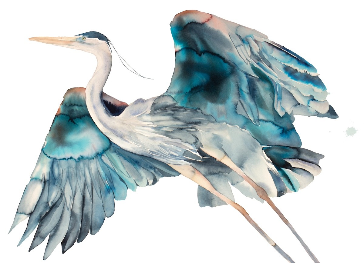 Elizabeth Becker, Heron no. 27 Elizabeth Becker, Heron no. 27