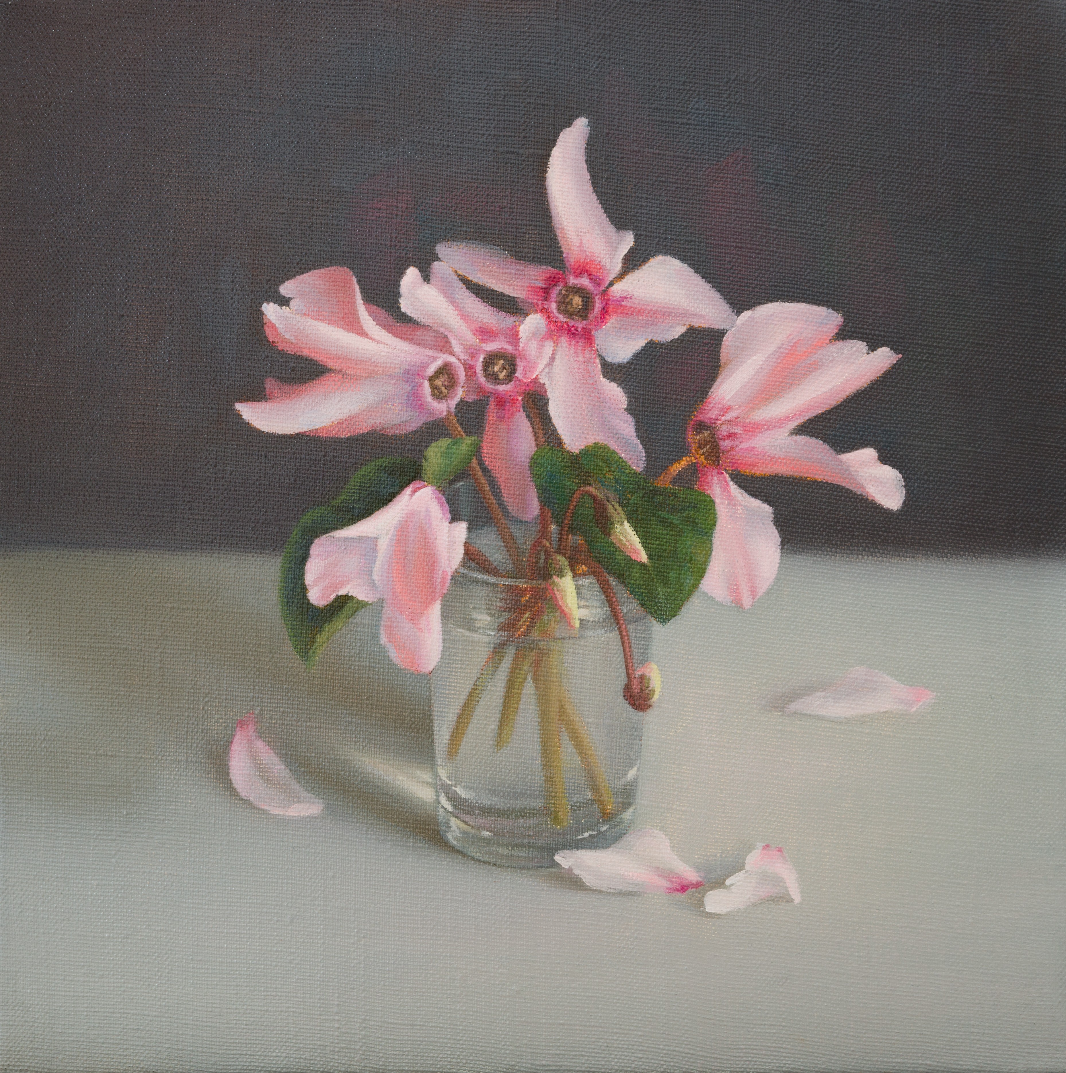 Irina Trushkova, Cyclamens Irina Trushkova, Cyclamens