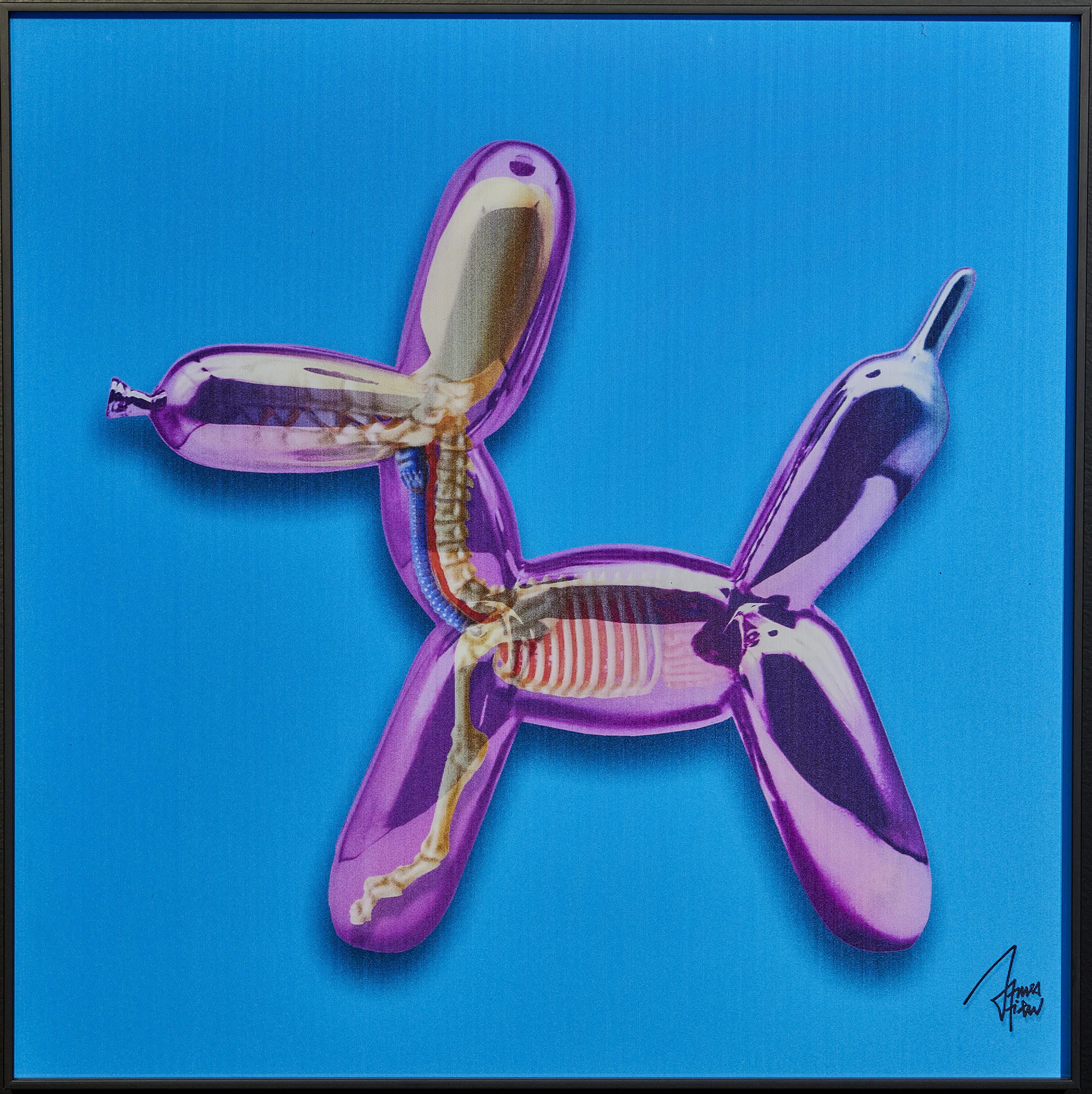 James Chiew, Toys Anatomy blue James Chiew, Toys Anatomy blue
