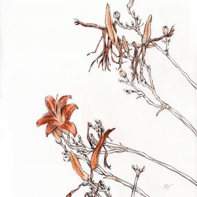 Fine Art Drawings, Outgoing Lilies of the Season, Tanya Sviatlichnaya