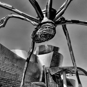Photography, Guggenheim Museum Bilbao 1, Antoine Kubler