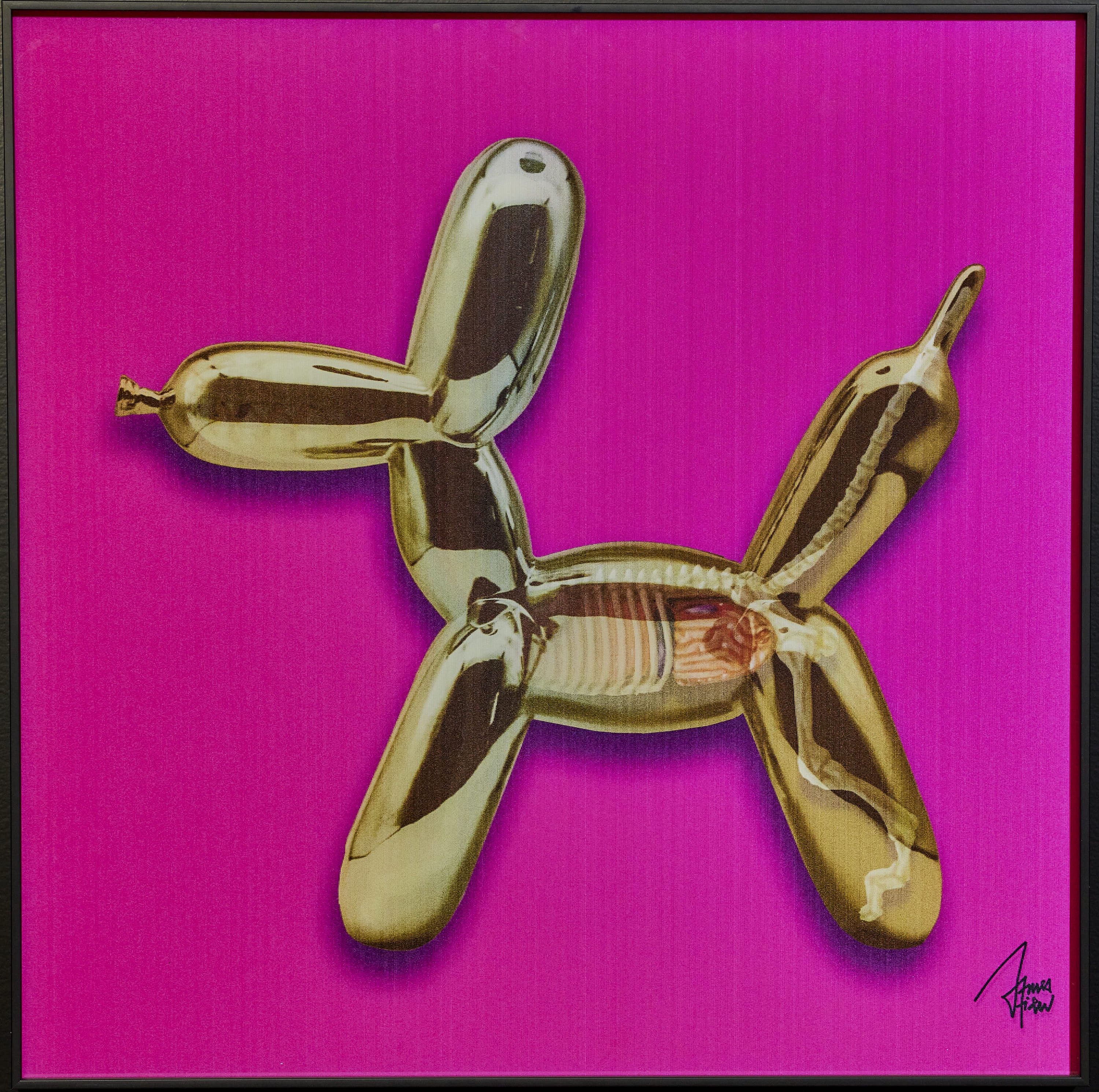 James Chiew, Toys Anatomy Magenta James Chiew, Toys Anatomy Magenta