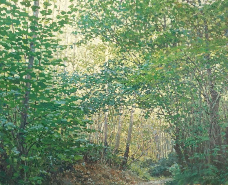 Agustín Gancedo, Bosque de Fuensanta Agustín Gancedo, Bosque de Fuensanta