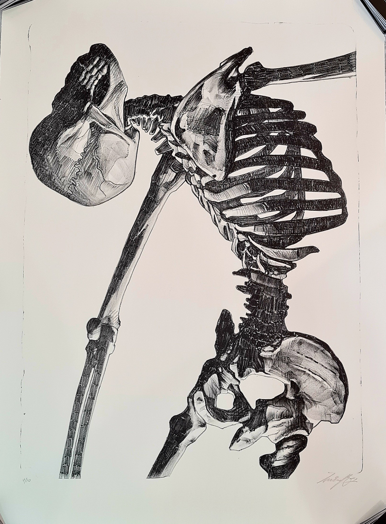 Insane 51, Skeleton Study Insane 51, Skeleton Study