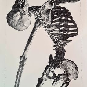 Édition, Skeleton Study, Insane 51