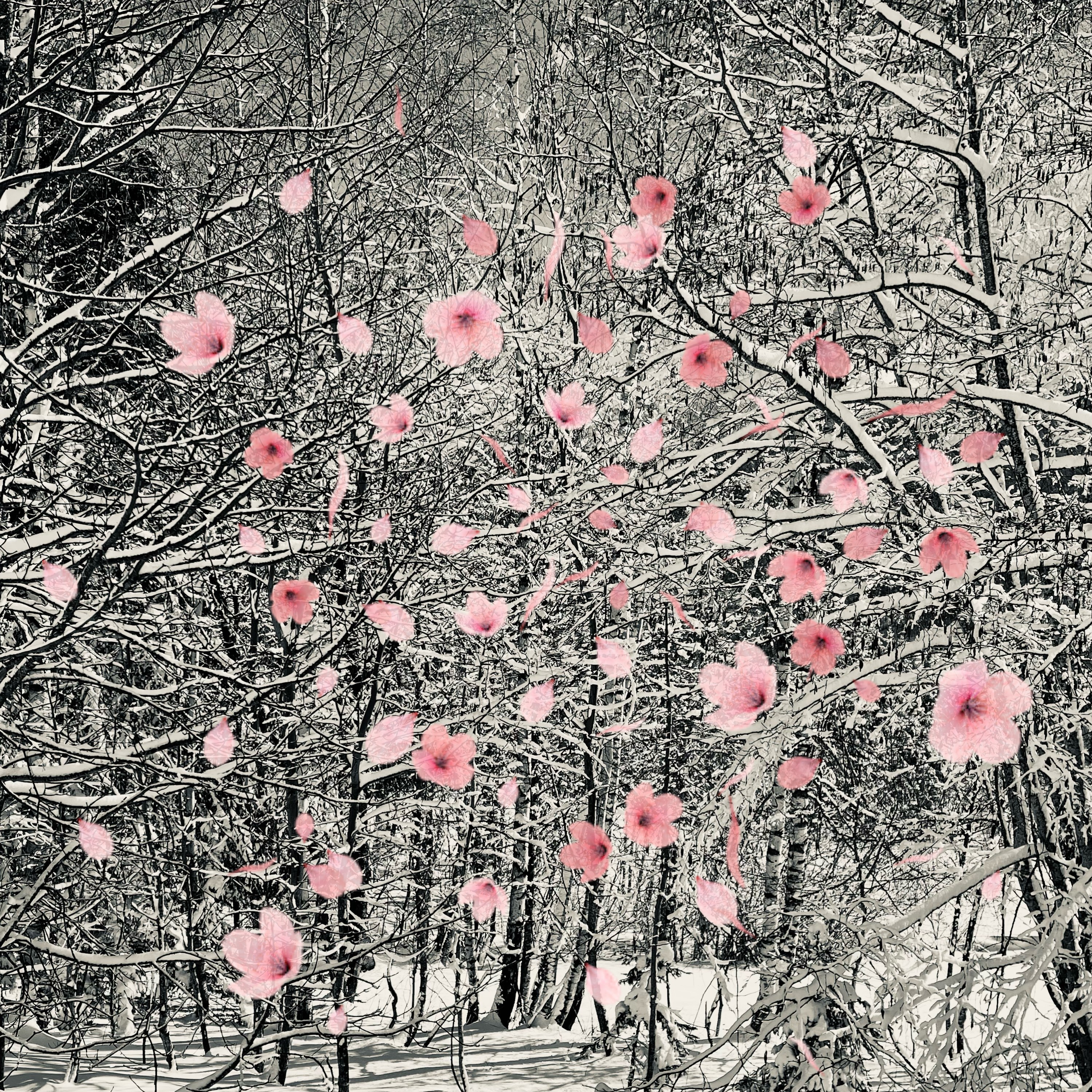 Adrianna MJW, Harmonie Florale en Neige - Collage Digital Poétique Adrianna MJW, Harmonie Florale en Neige - Collage Digital Poétique