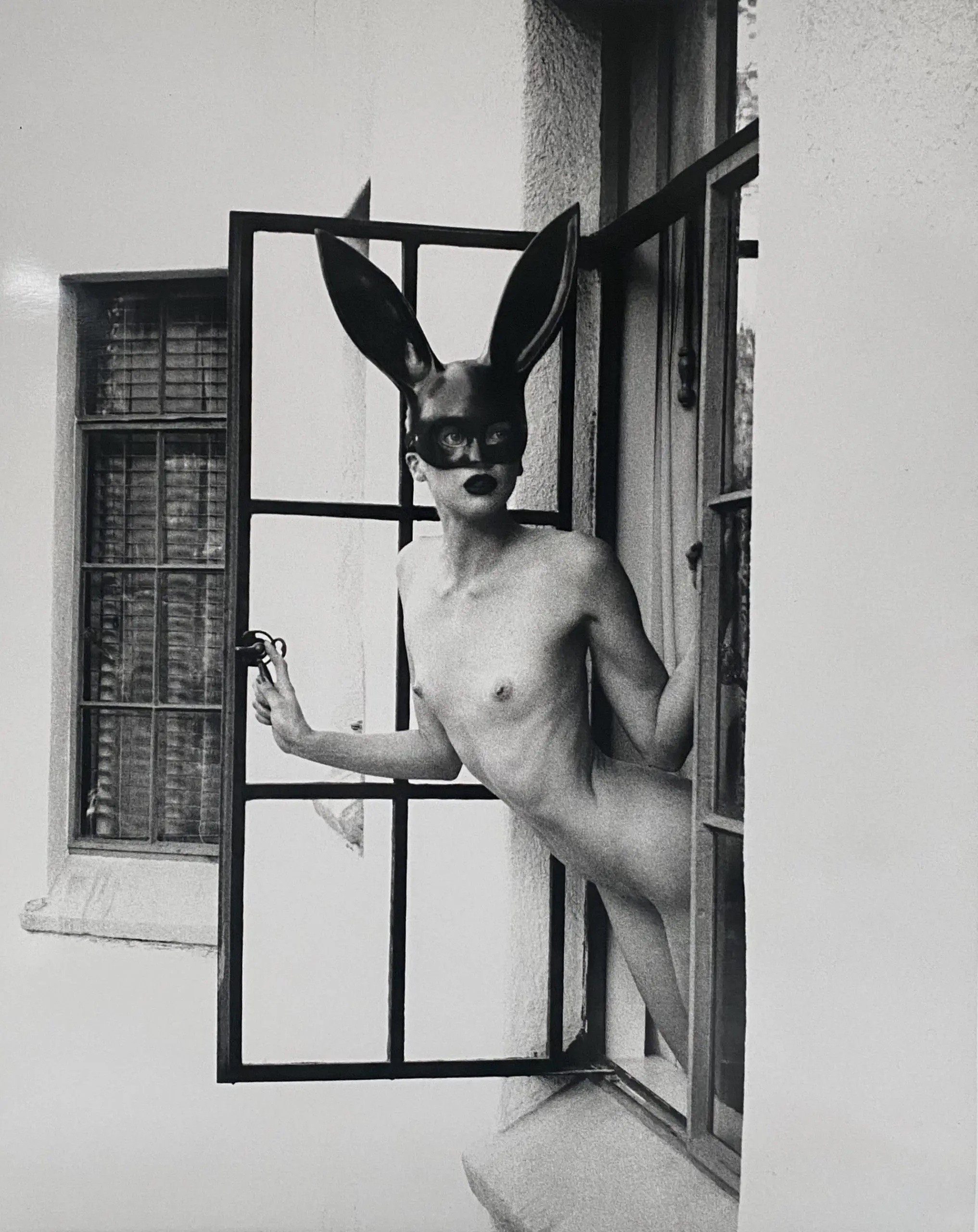 Tyler Shields, The Bunny In The Window (4) Tyler Shields, The Bunny In The Window (4)
