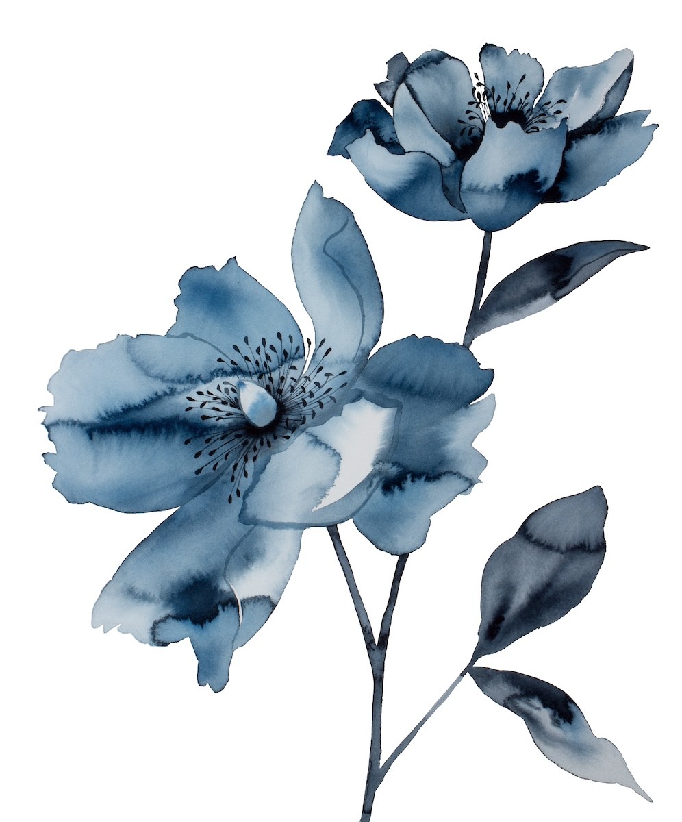 Elizabeth Becker, Peony No. 2 Elizabeth Becker, Peony No. 2
