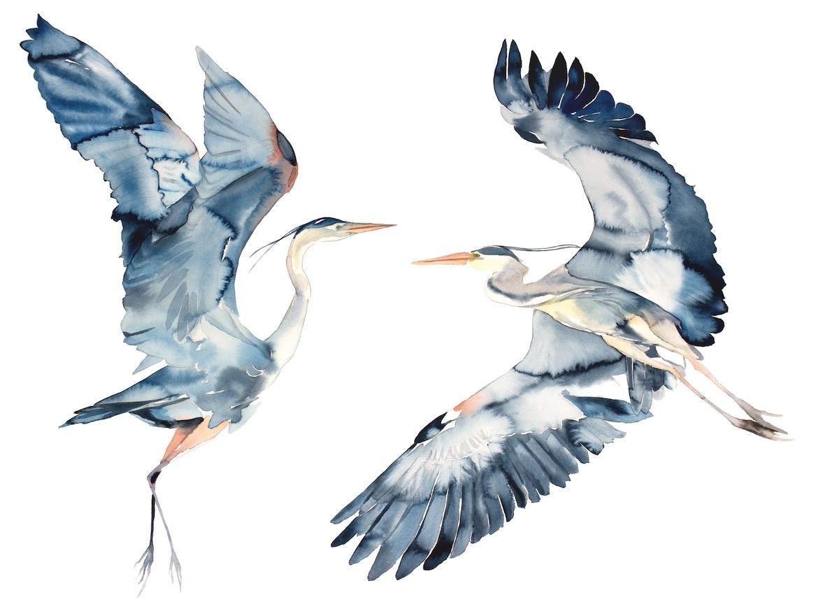 Elizabeth Becker, Herons in Flight Elizabeth Becker, Herons in Flight