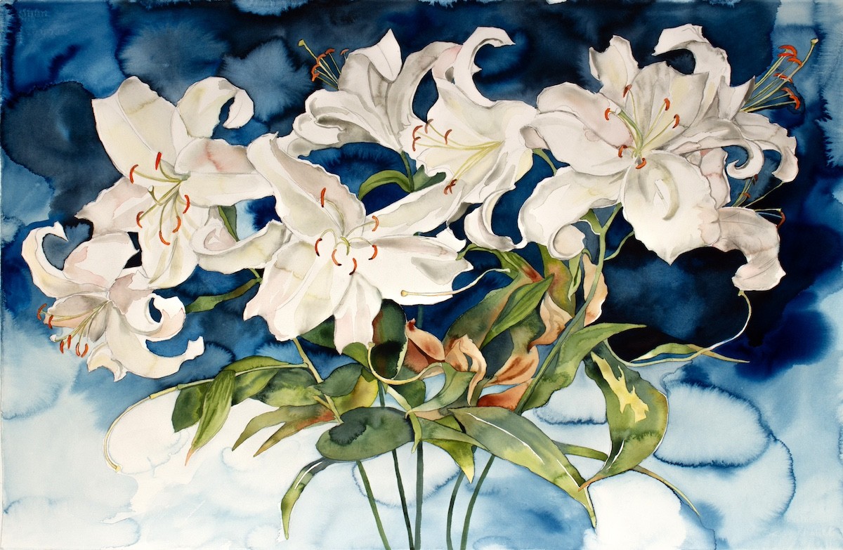 Elizabeth Becker, Lily Bouquet Elizabeth Becker, Lily Bouquet