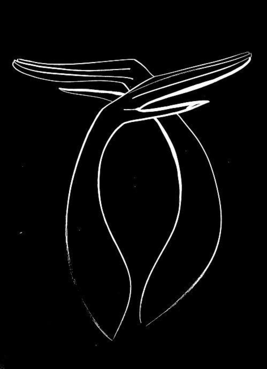 Kirill Postovit, Angel's Wings Kirill Postovit, Angel's Wings