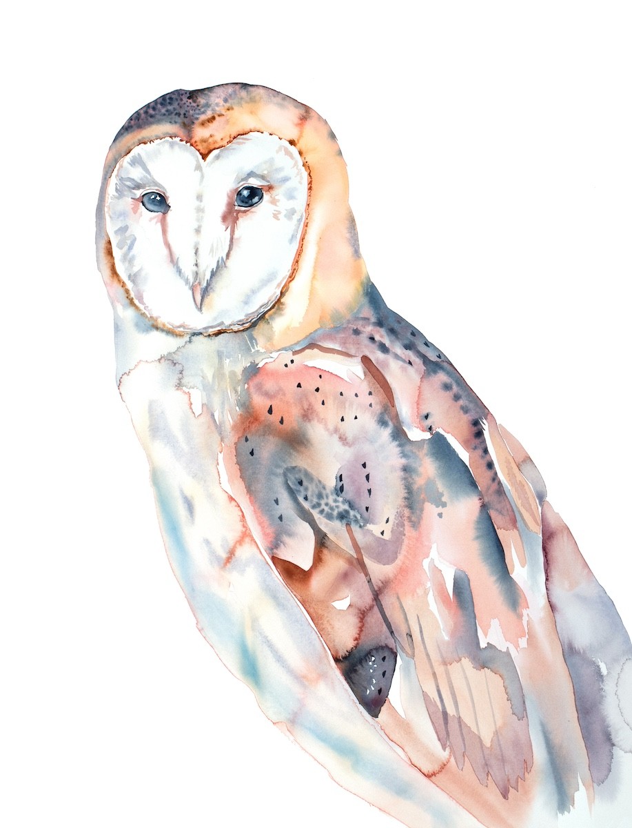 Elizabeth Becker, Barn Owl No. 7 Elizabeth Becker, Barn Owl No. 7