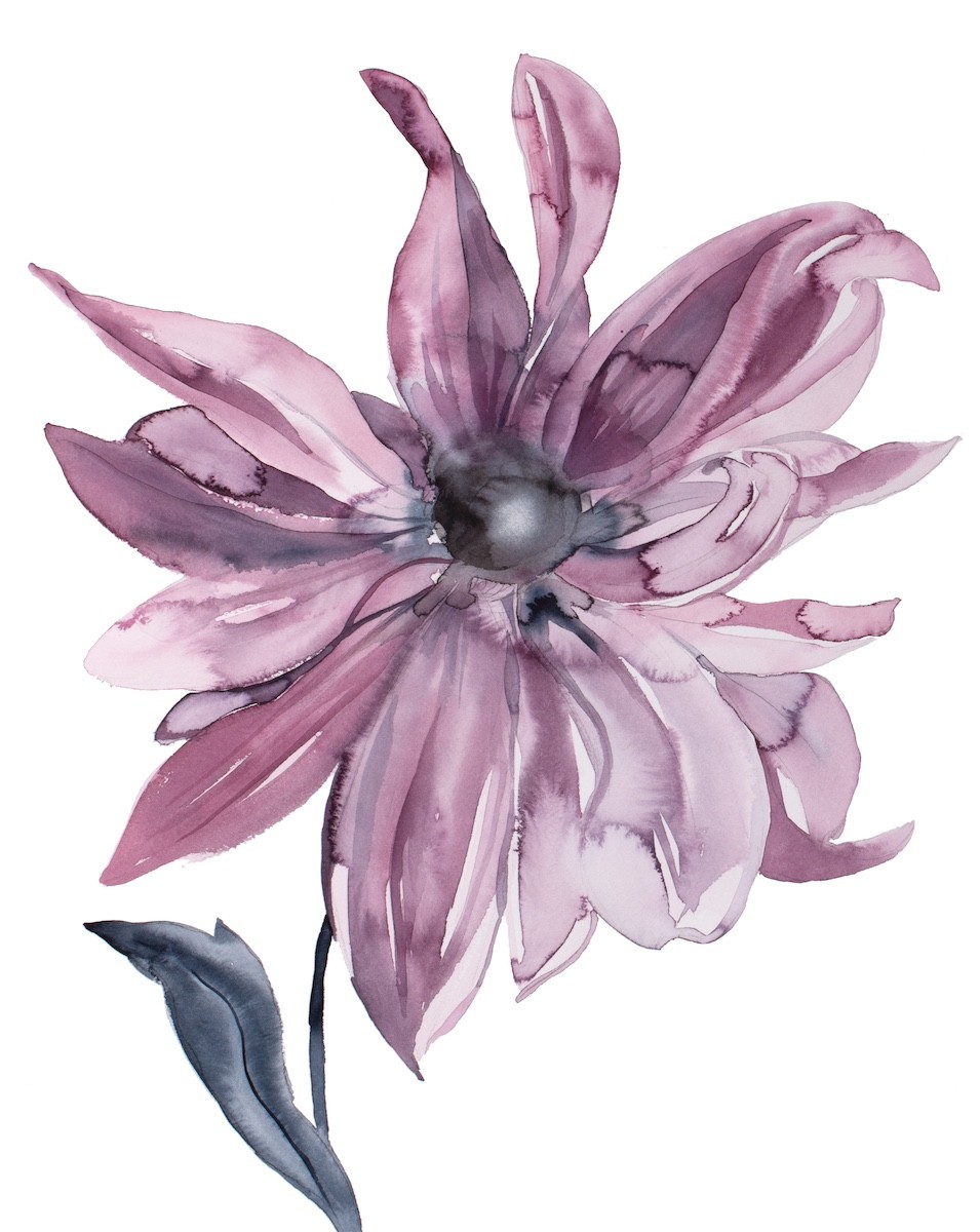 Elizabeth Becker, Dahlia Elizabeth Becker, Dahlia