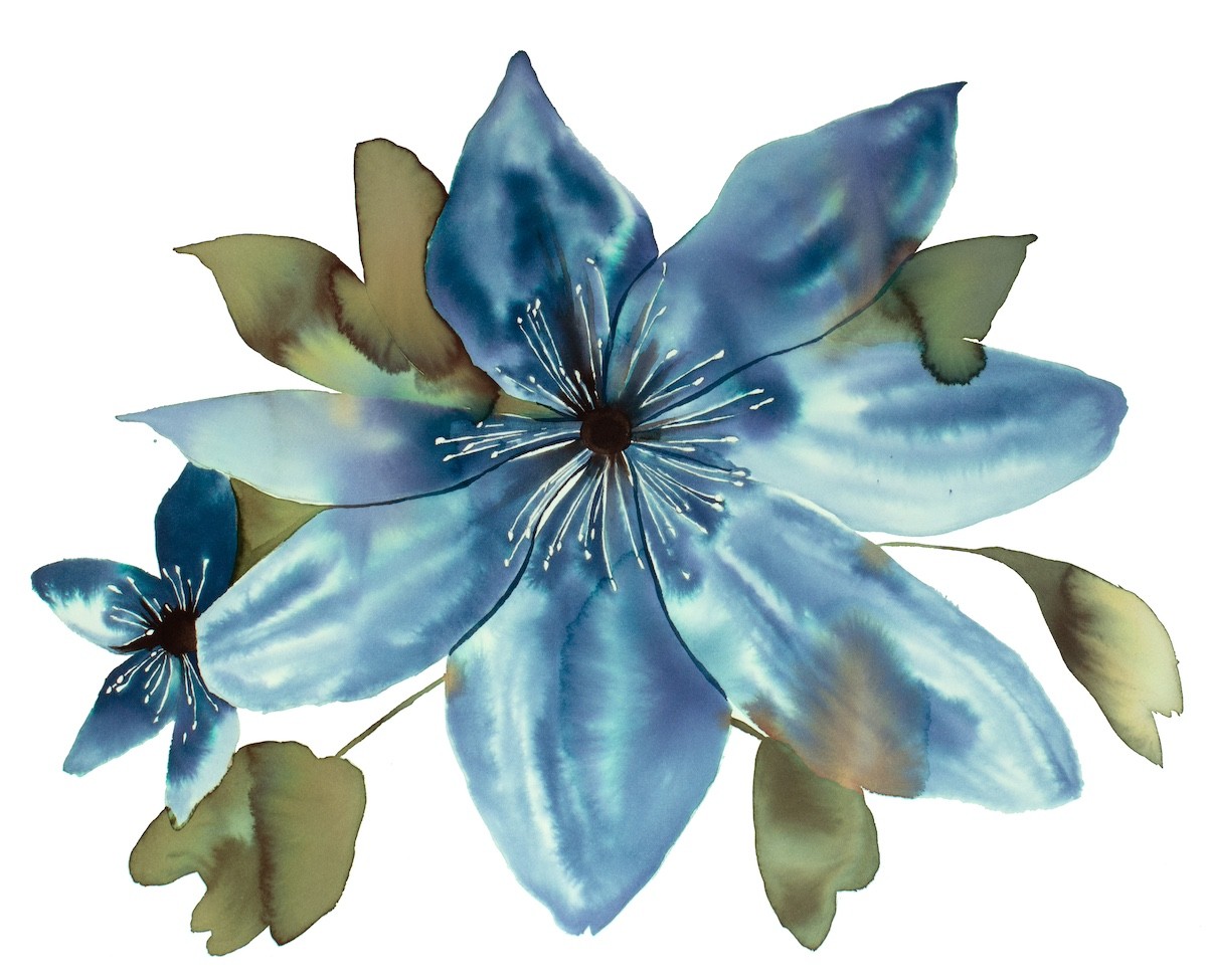 Elizabeth Becker, Anemone No. 7 Elizabeth Becker, Anemone No. 7