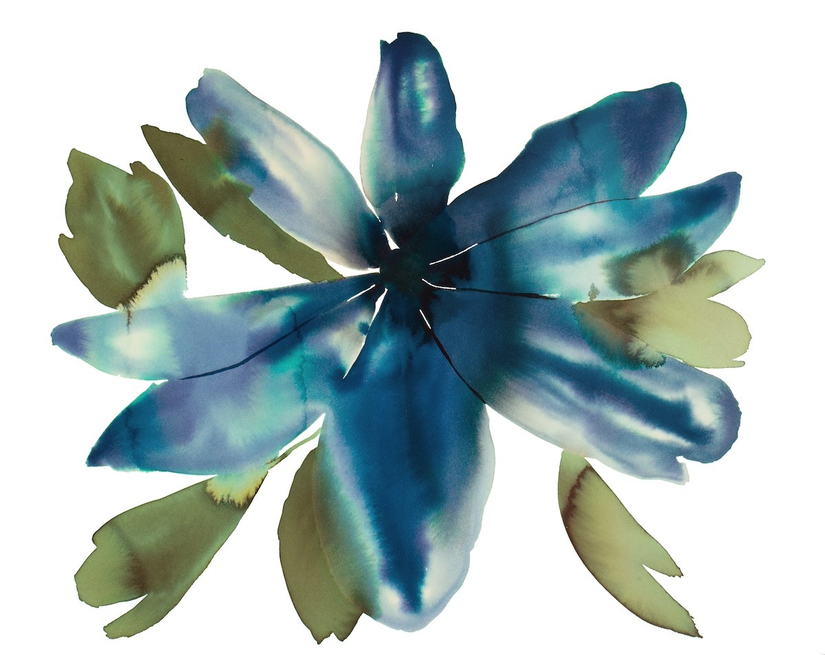 Elizabeth Becker, Anemone No. 8 Elizabeth Becker, Anemone No. 8