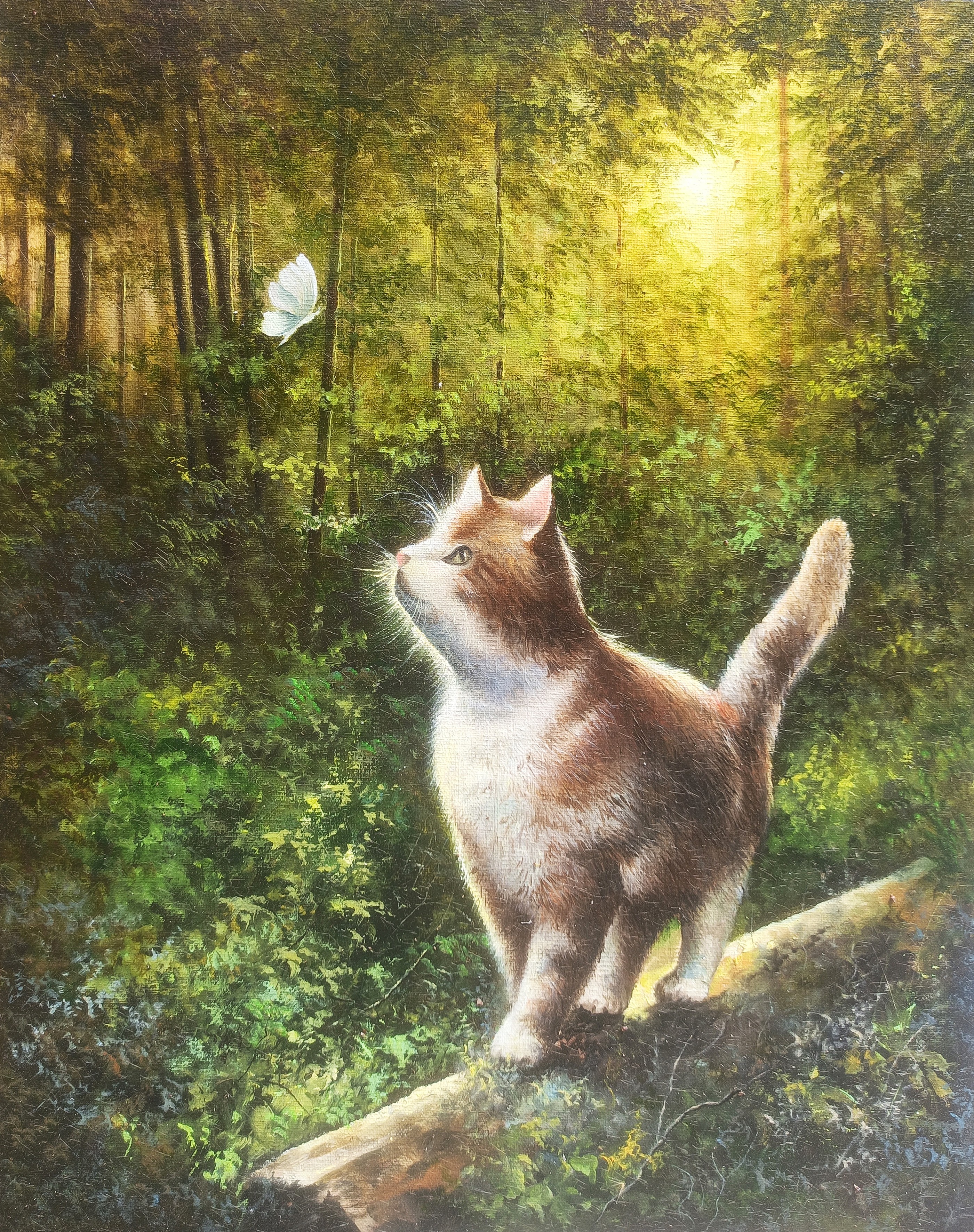Sergey Miqayelyan, Forest Play Sergey Miqayelyan, Forest Play