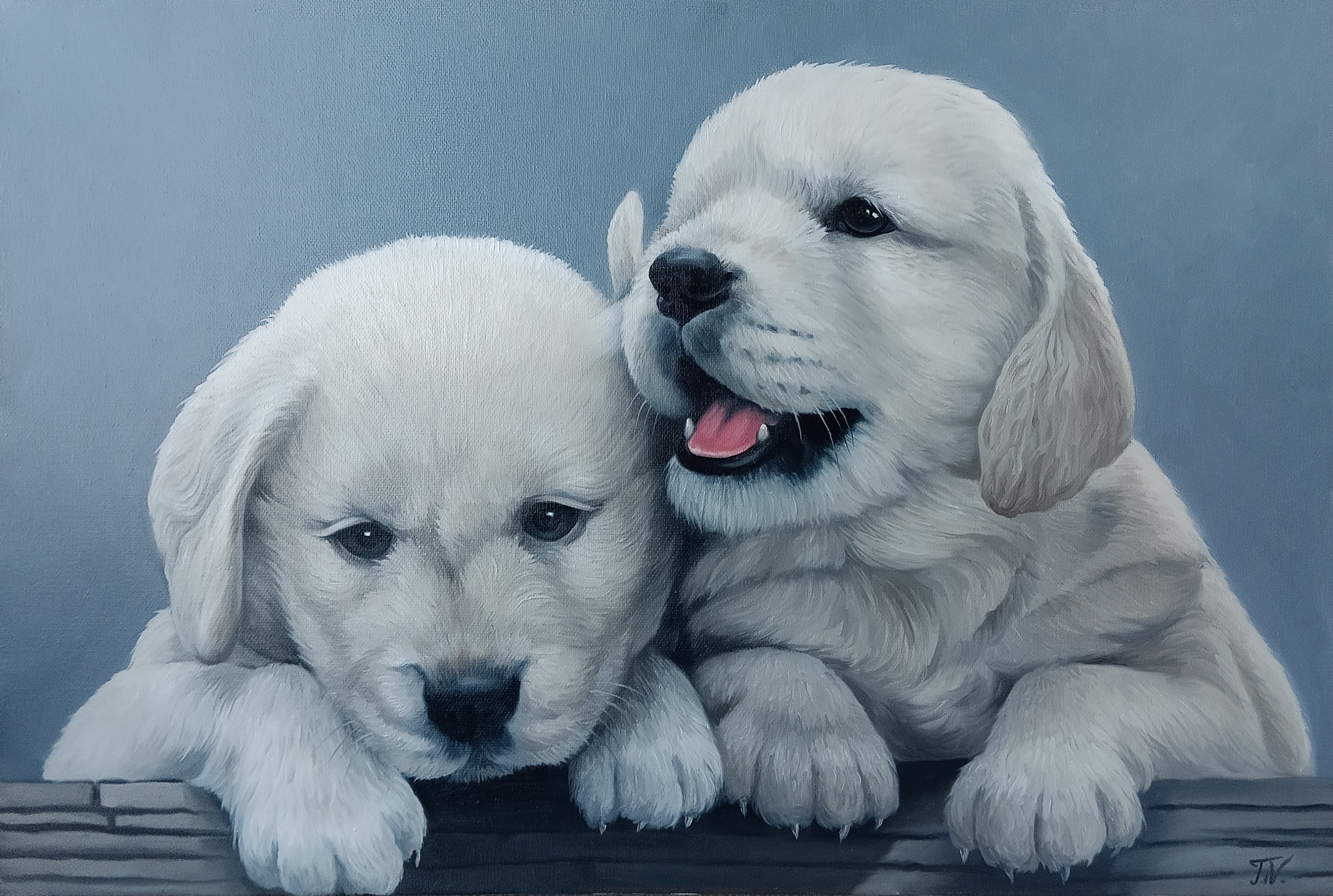 Tamar Nazaryan, Puppy Companions Tamar Nazaryan, Puppy Companions