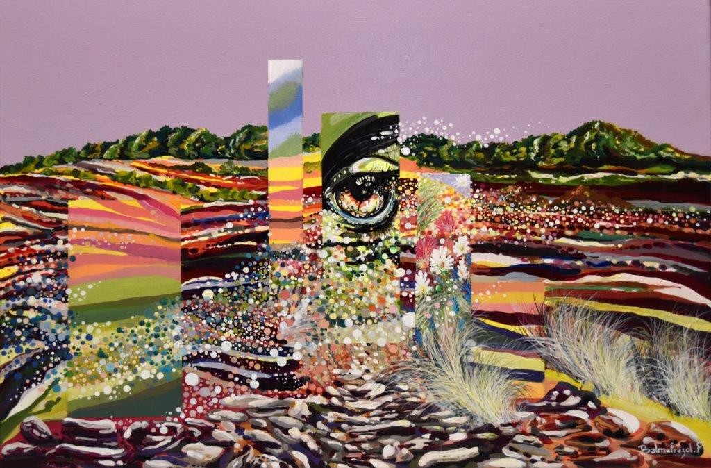 Frédéric Balmefrezol, Observation Frédéric Balmefrezol, Observation