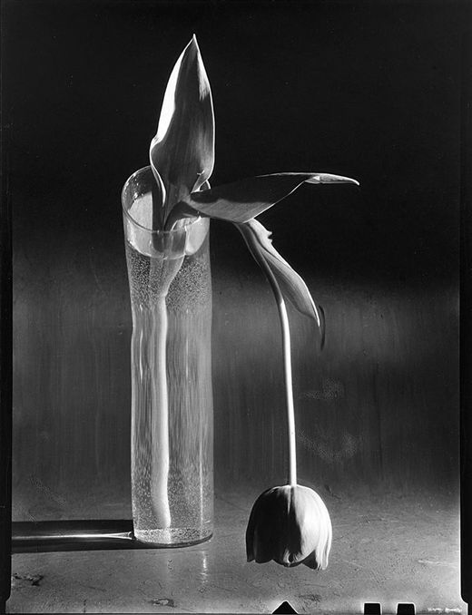 André Kertész
