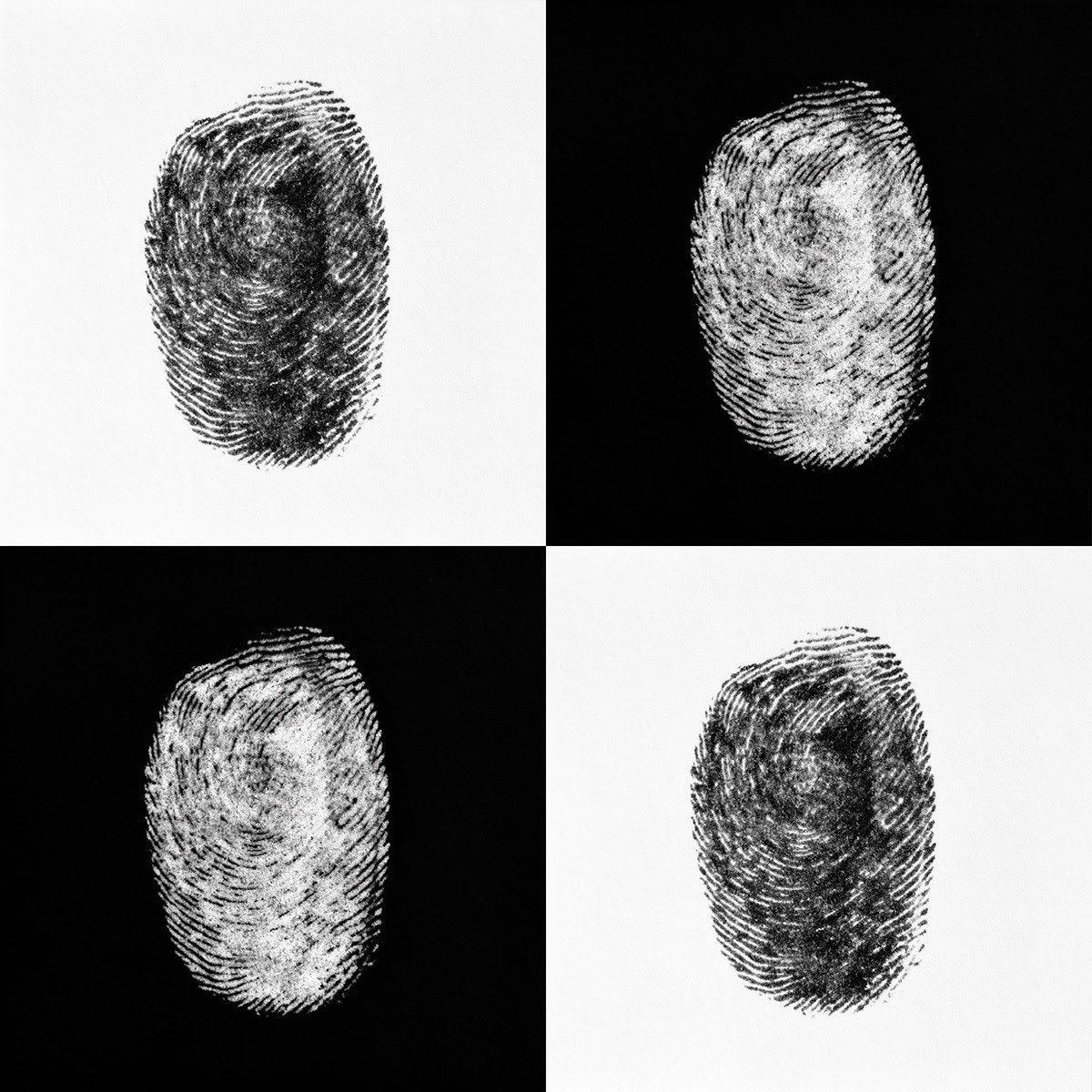 Tyler Shields, Identity Tyler Shields, Identity