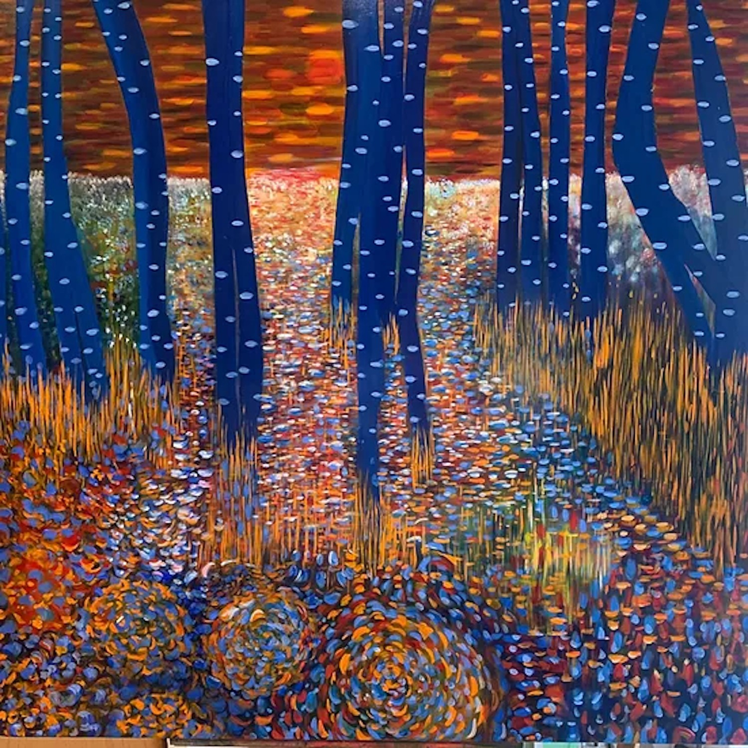Helen Brough, Birch forest sunset NY Helen Brough, Birch forest sunset NY