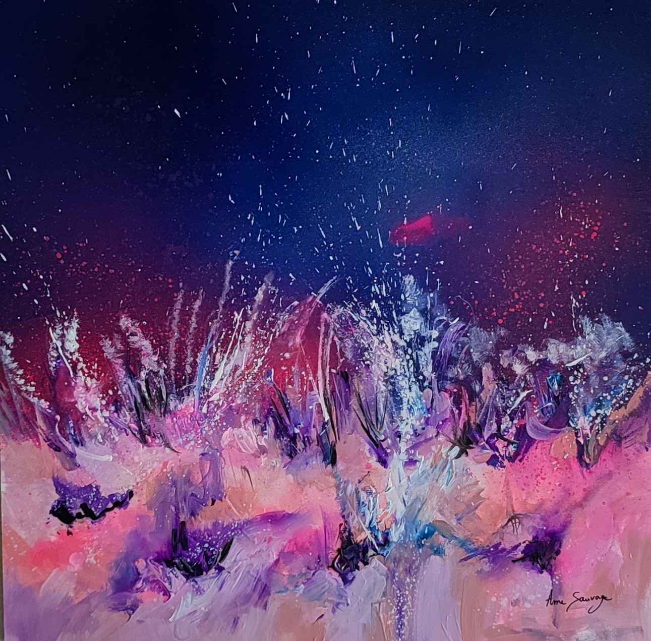 Âme Sauvage, Feux d'artifice sur les nuages Âme Sauvage, Feux d'artifice sur les nuages