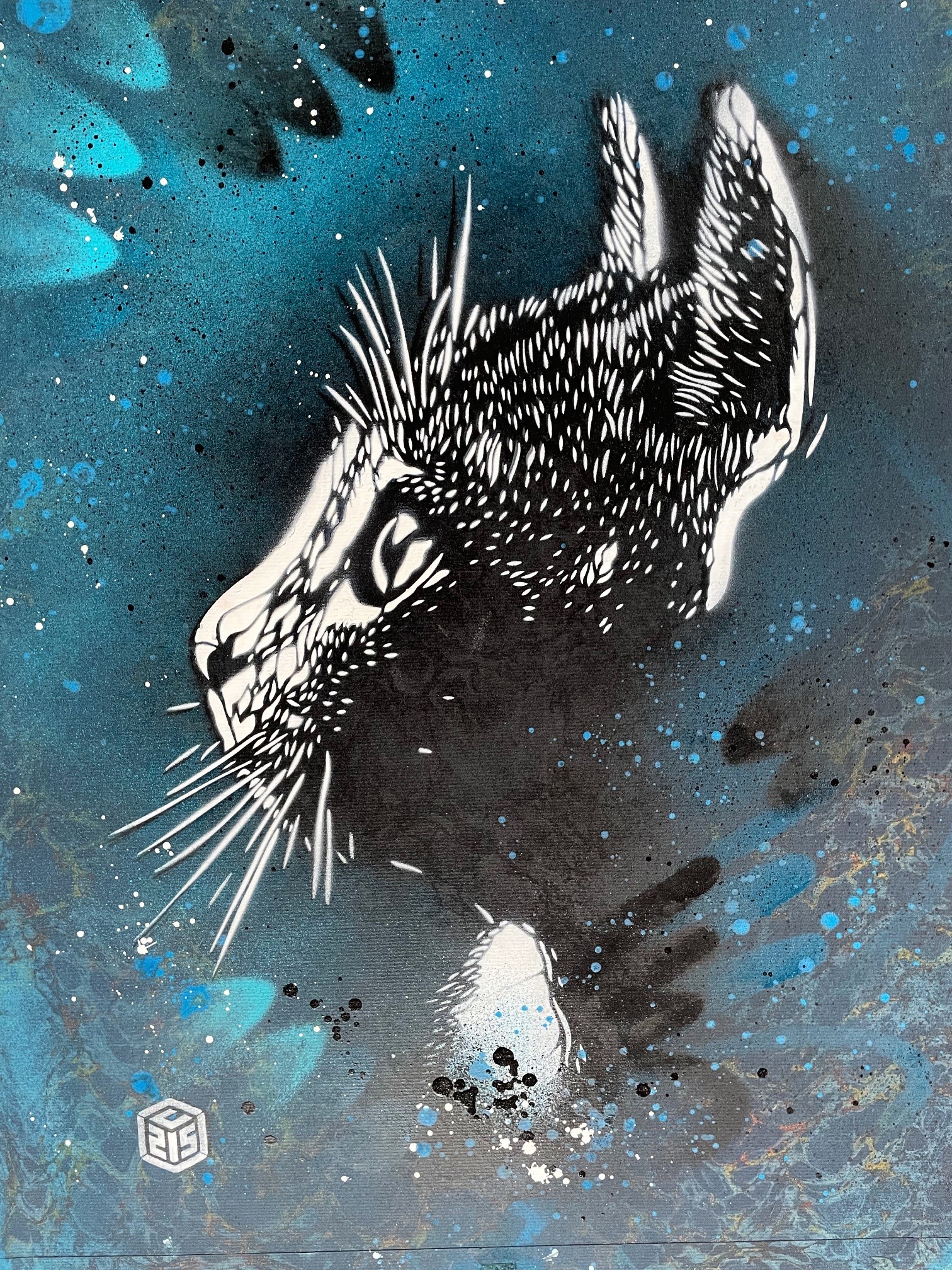 C215, Felix bleu C215, Felix bleu