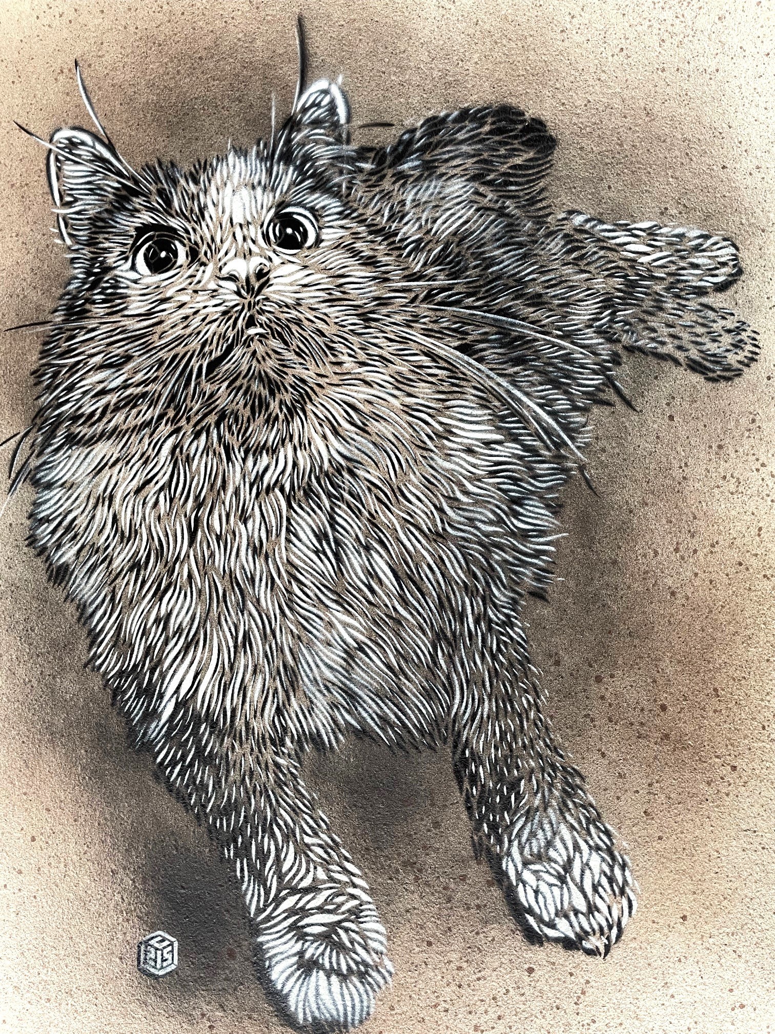 C215, Le chat C215, Le chat